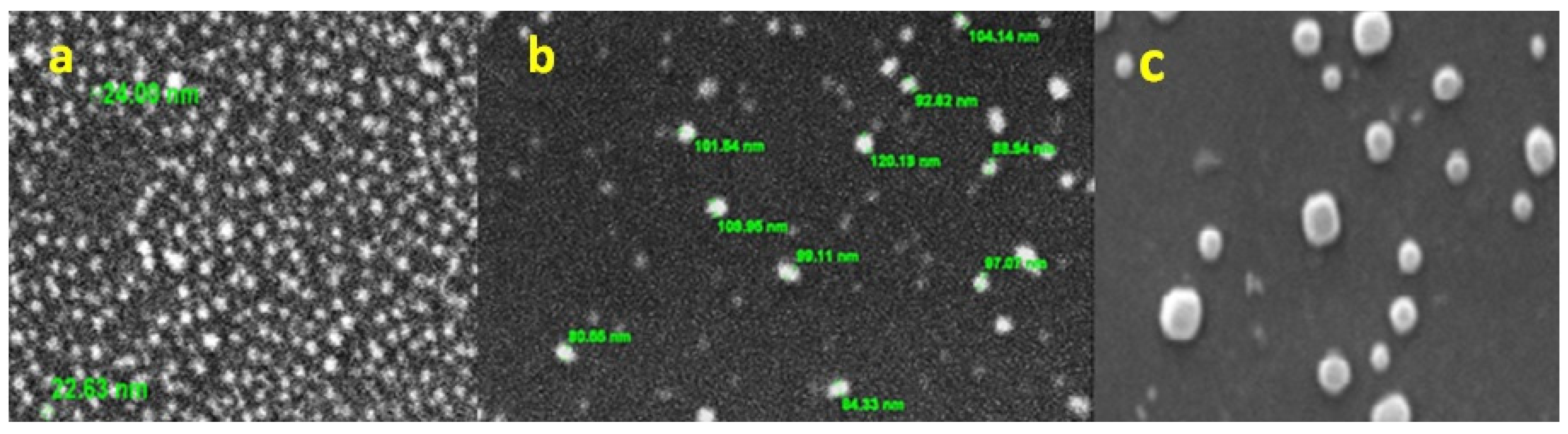 Nanomaterials 11 03152 g003 550