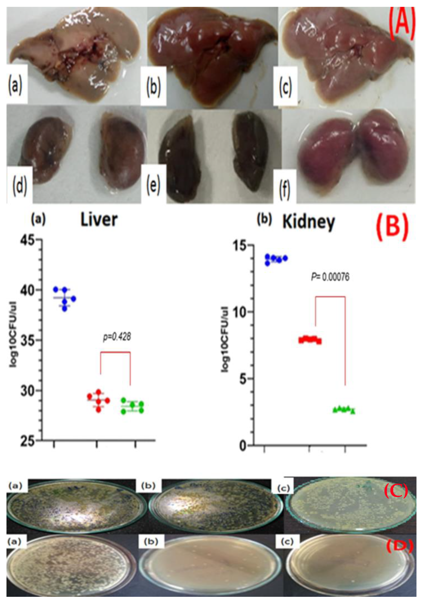 Nanomaterials 11 03152 g007 550