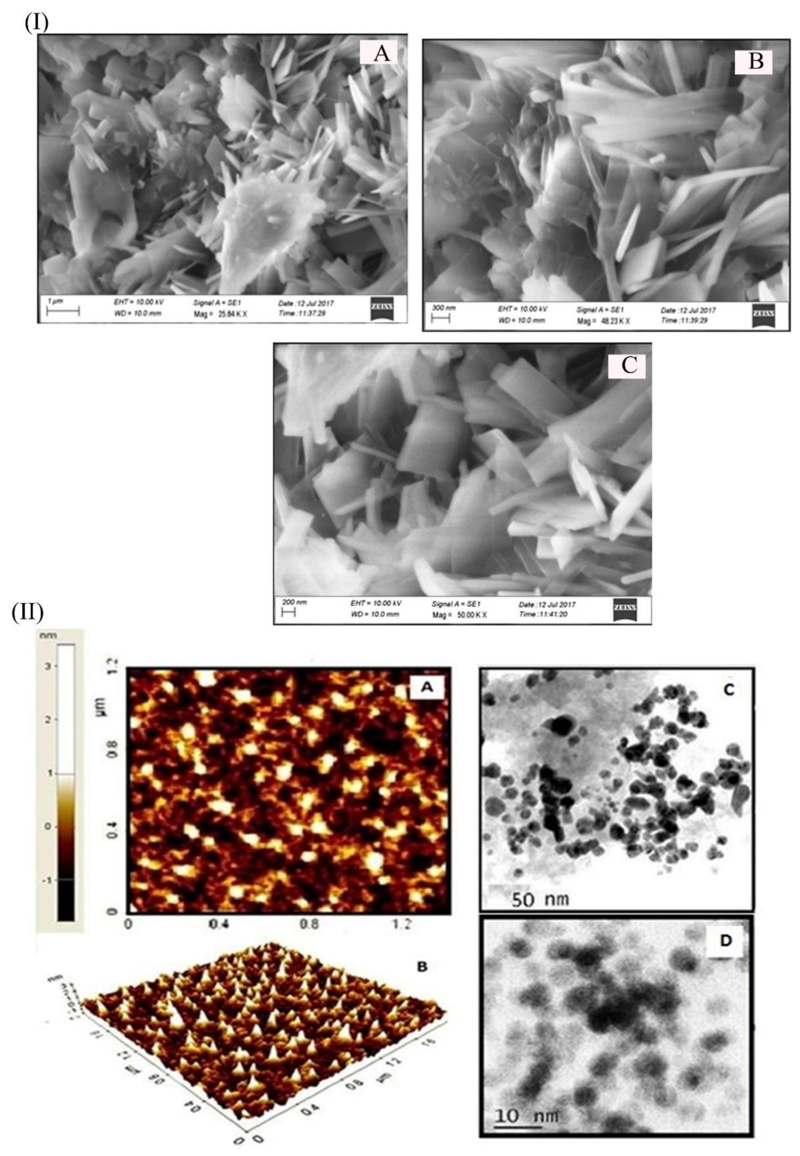 Nanomaterials 11 03154 g004 Nanomaterials 11 03154 g004