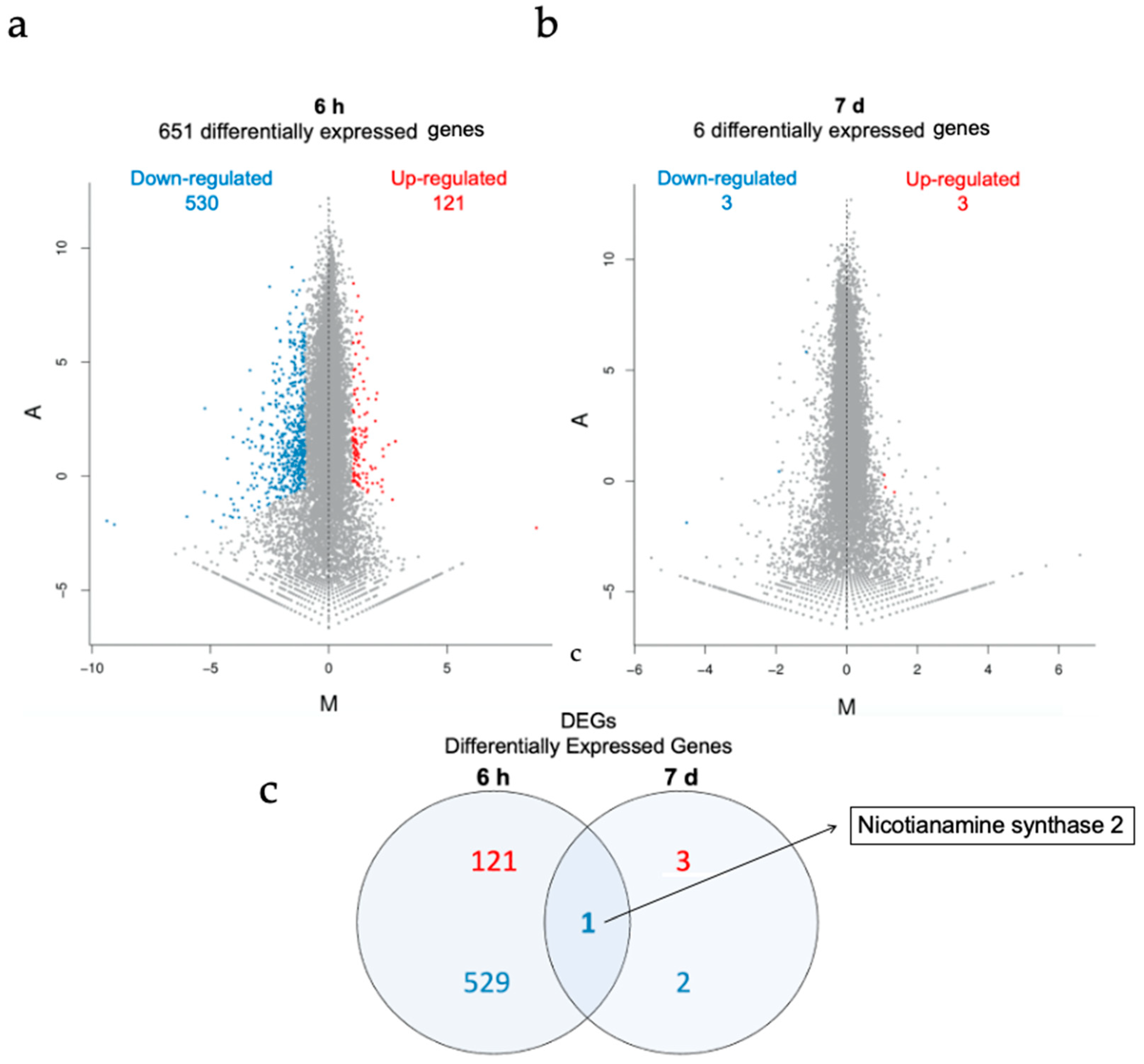 Nanomaterials 11 03161 g005 550