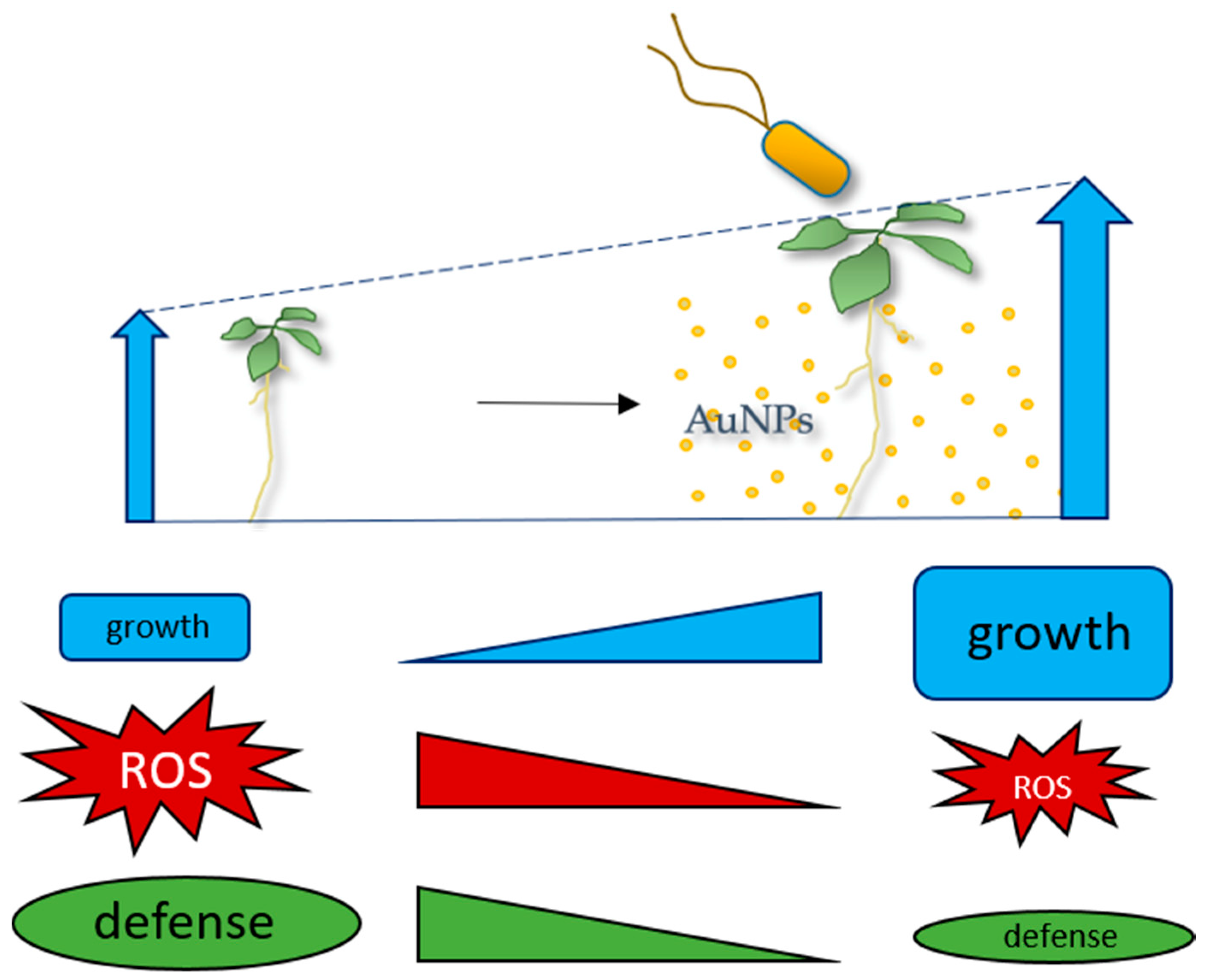 Nanomaterials 11 03161 g007 550
