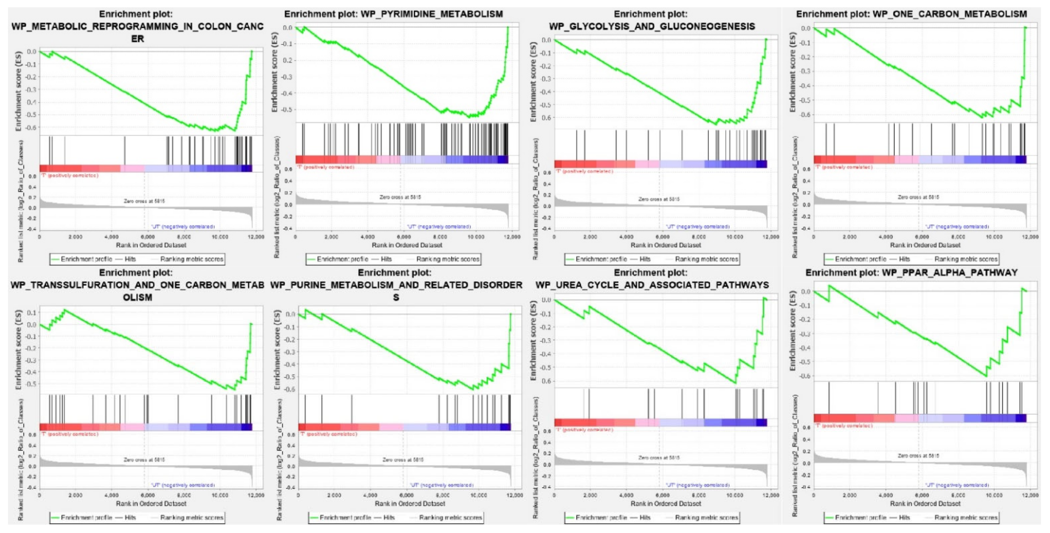 Nanomaterials 11 03163 g002 Nanomaterials 11 03163 g002