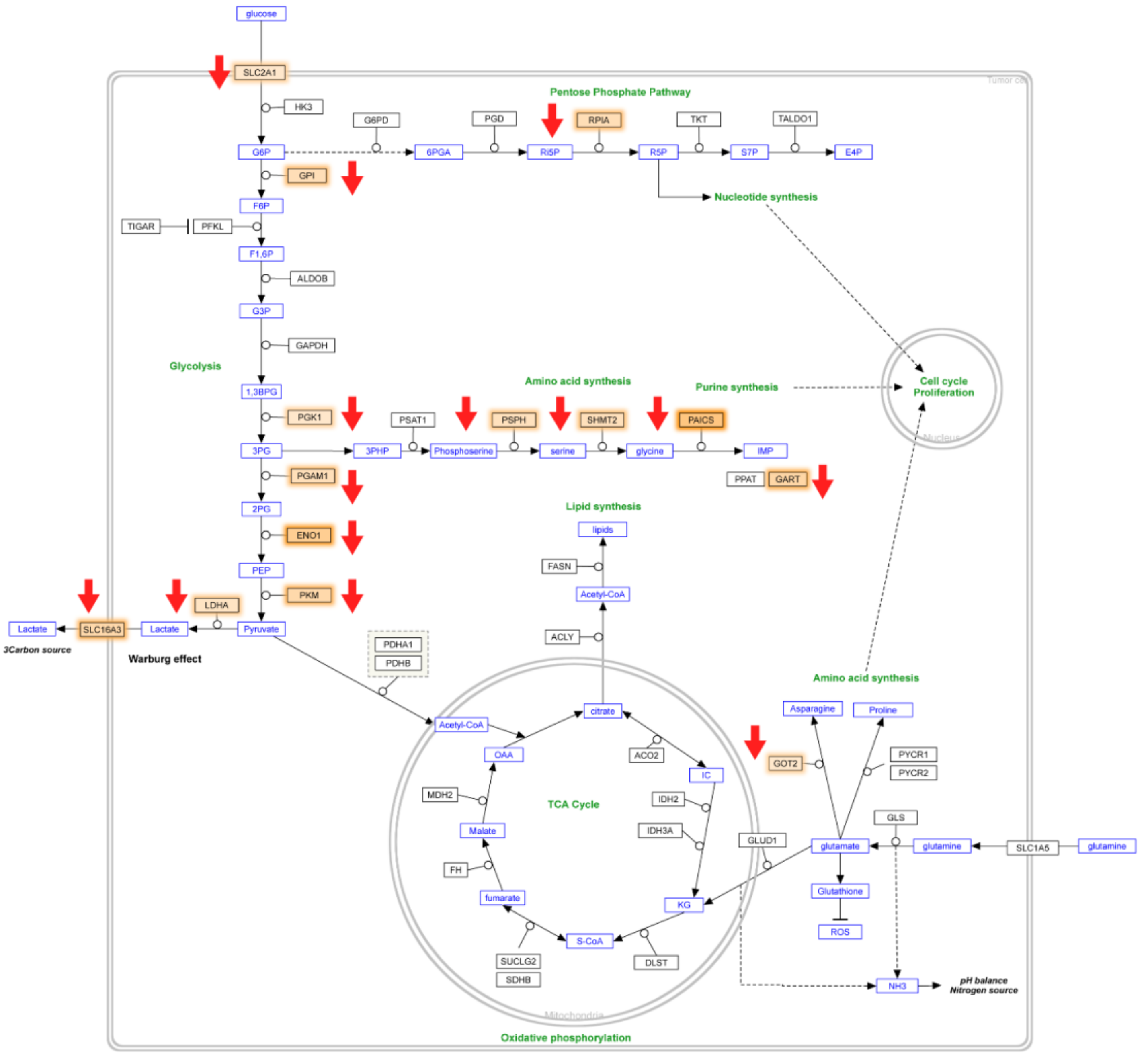 Nanomaterials 11 03163 g004 Nanomaterials 11 03163 g004