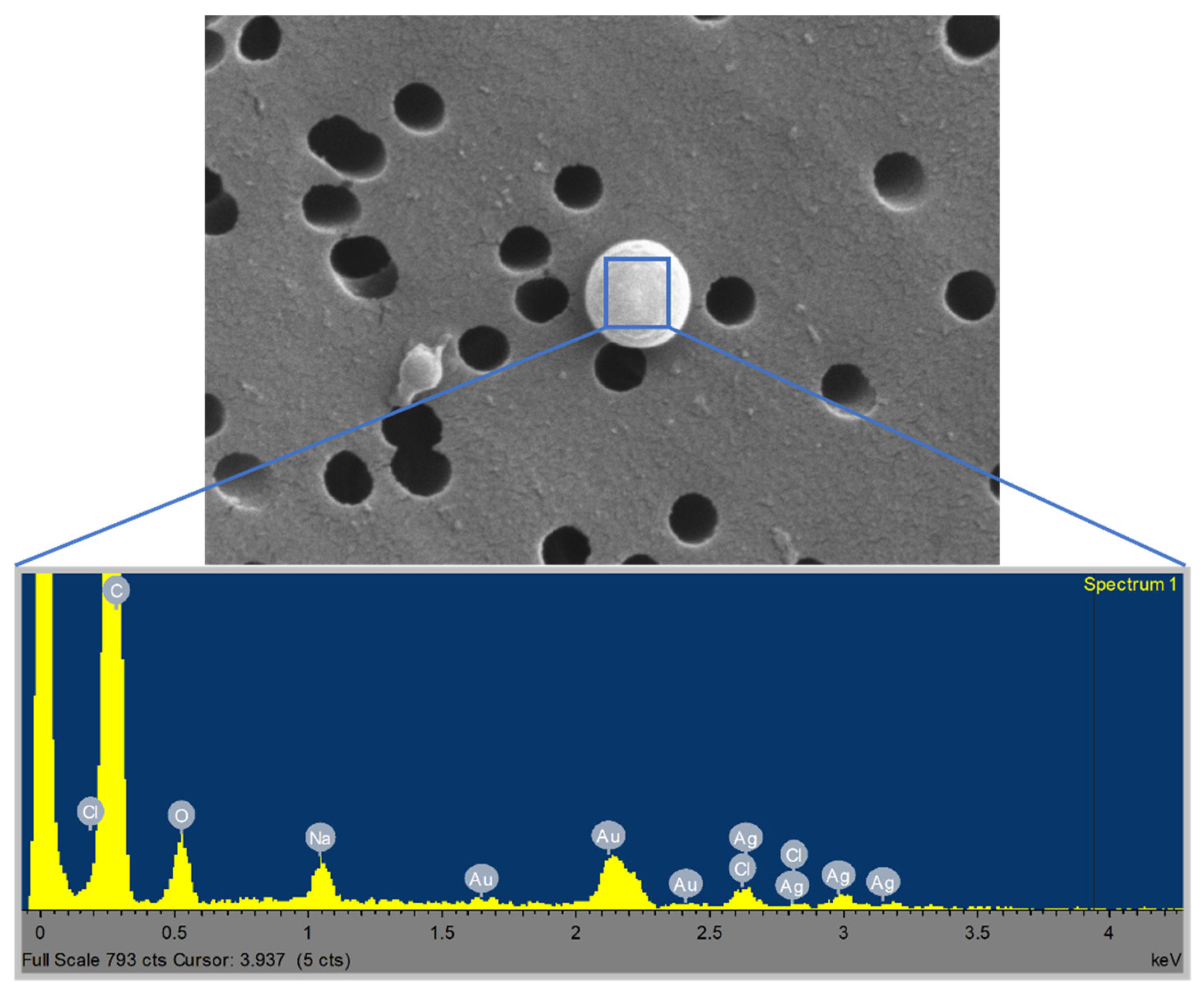 Nanomaterials 11 03165 g008 550
