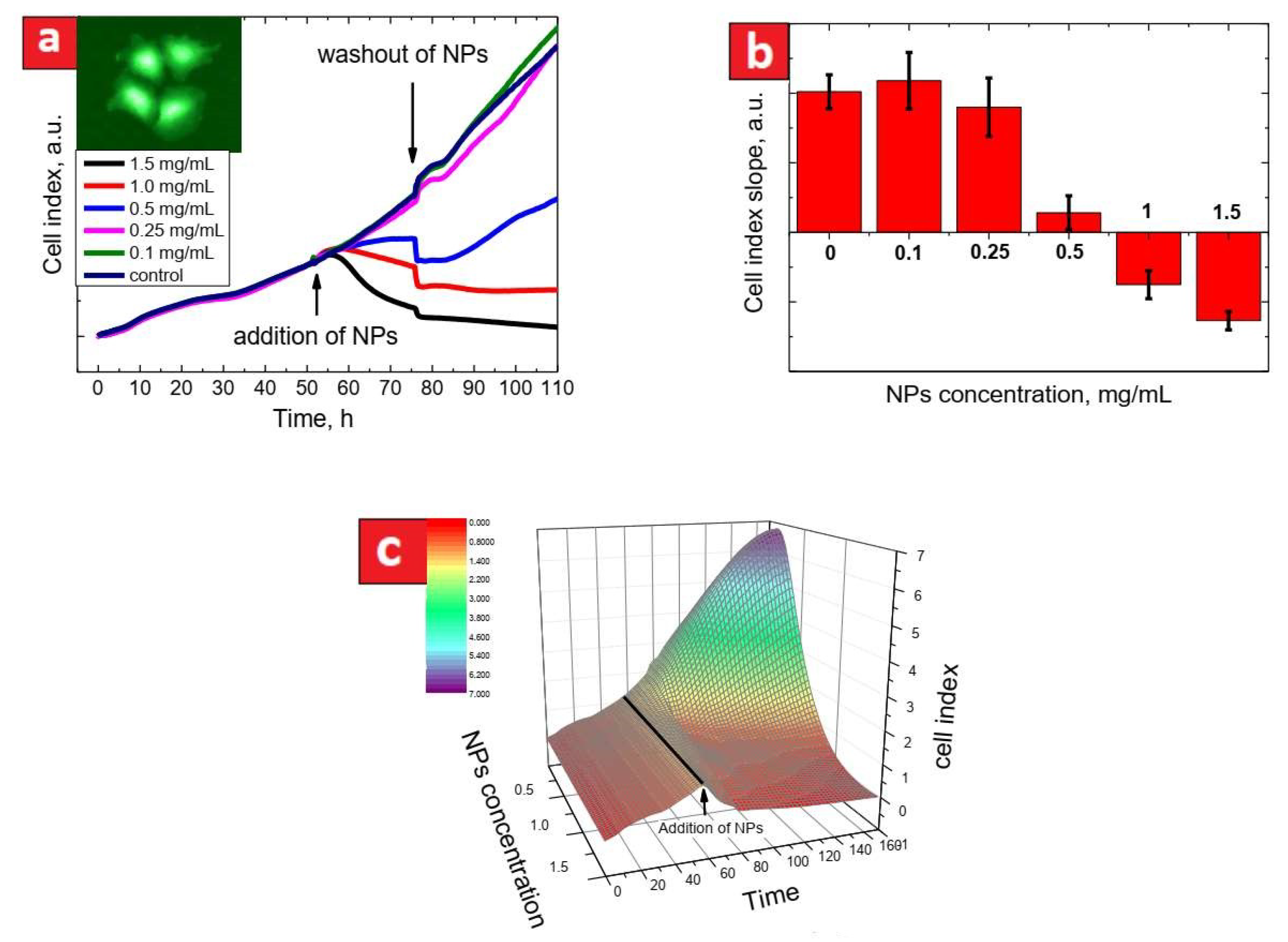 Nanomaterials 11 03168 g001