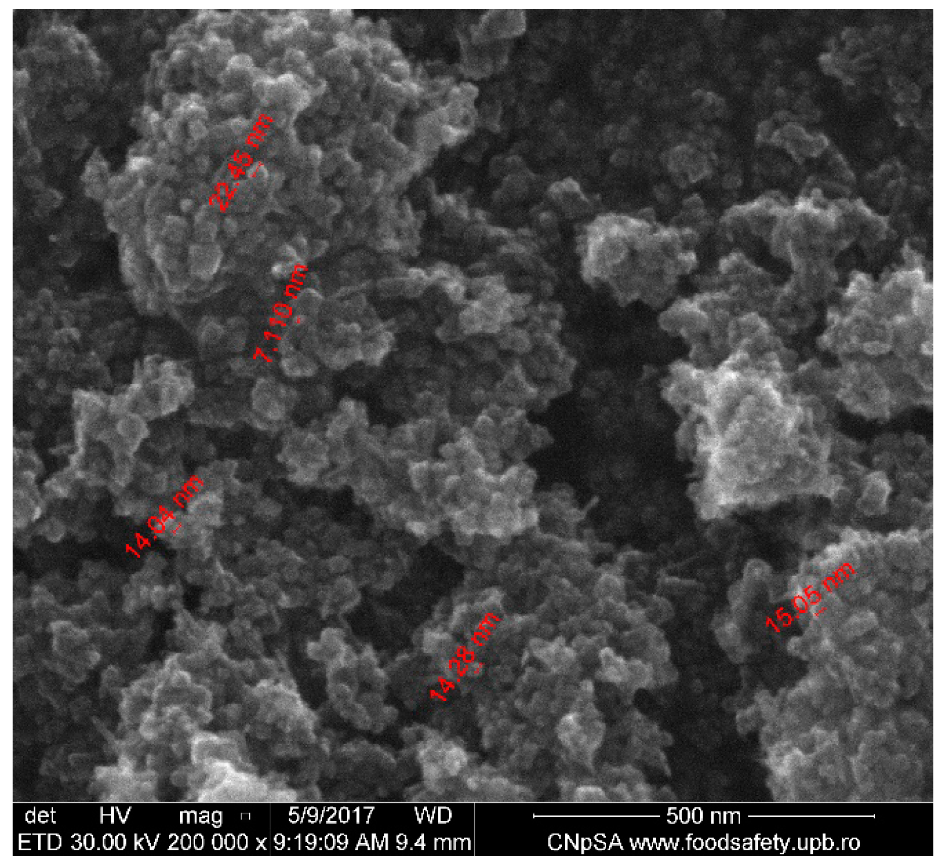 Nanomaterials 11 03176 g001