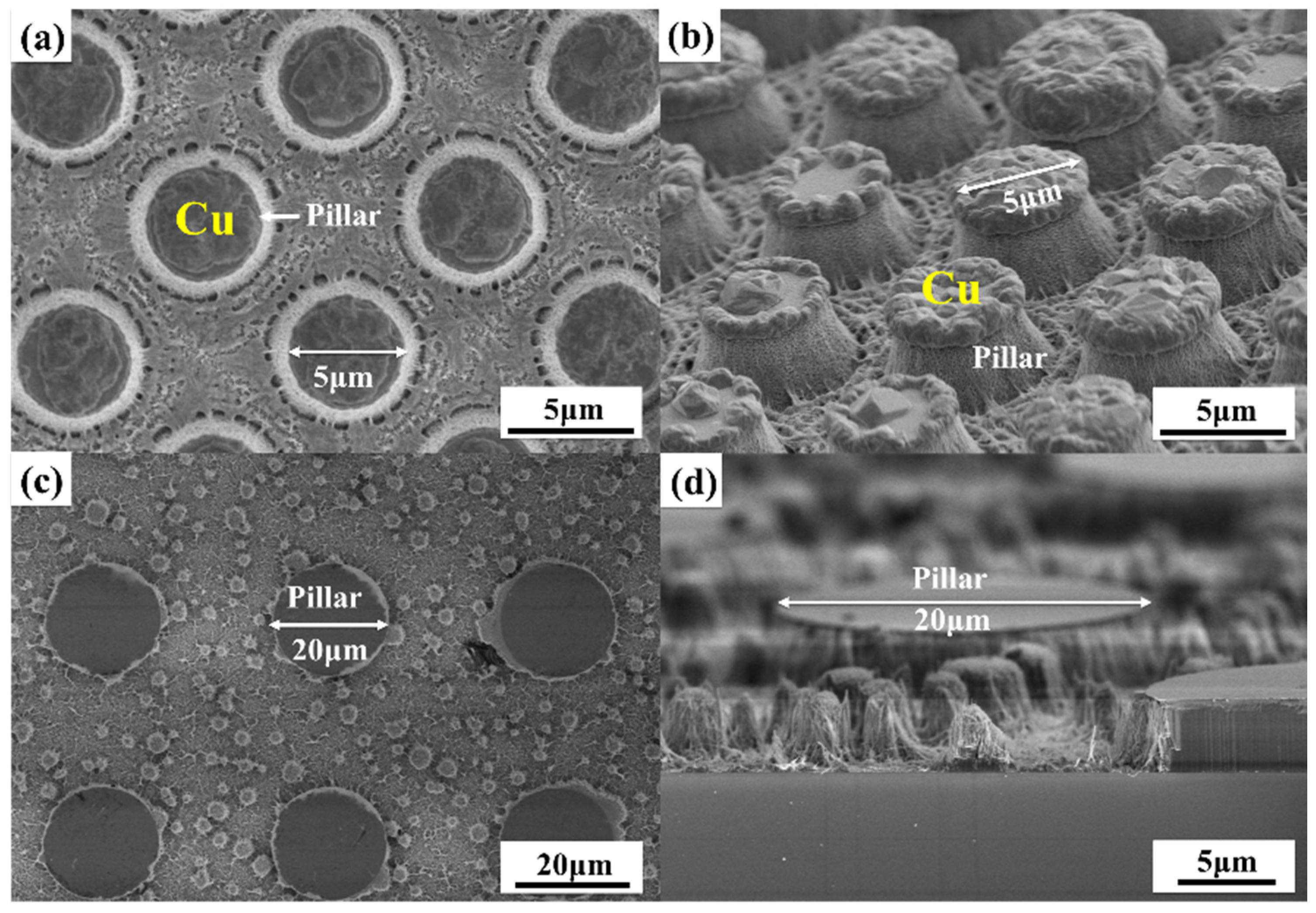 Nanomaterials 11 03179 g007