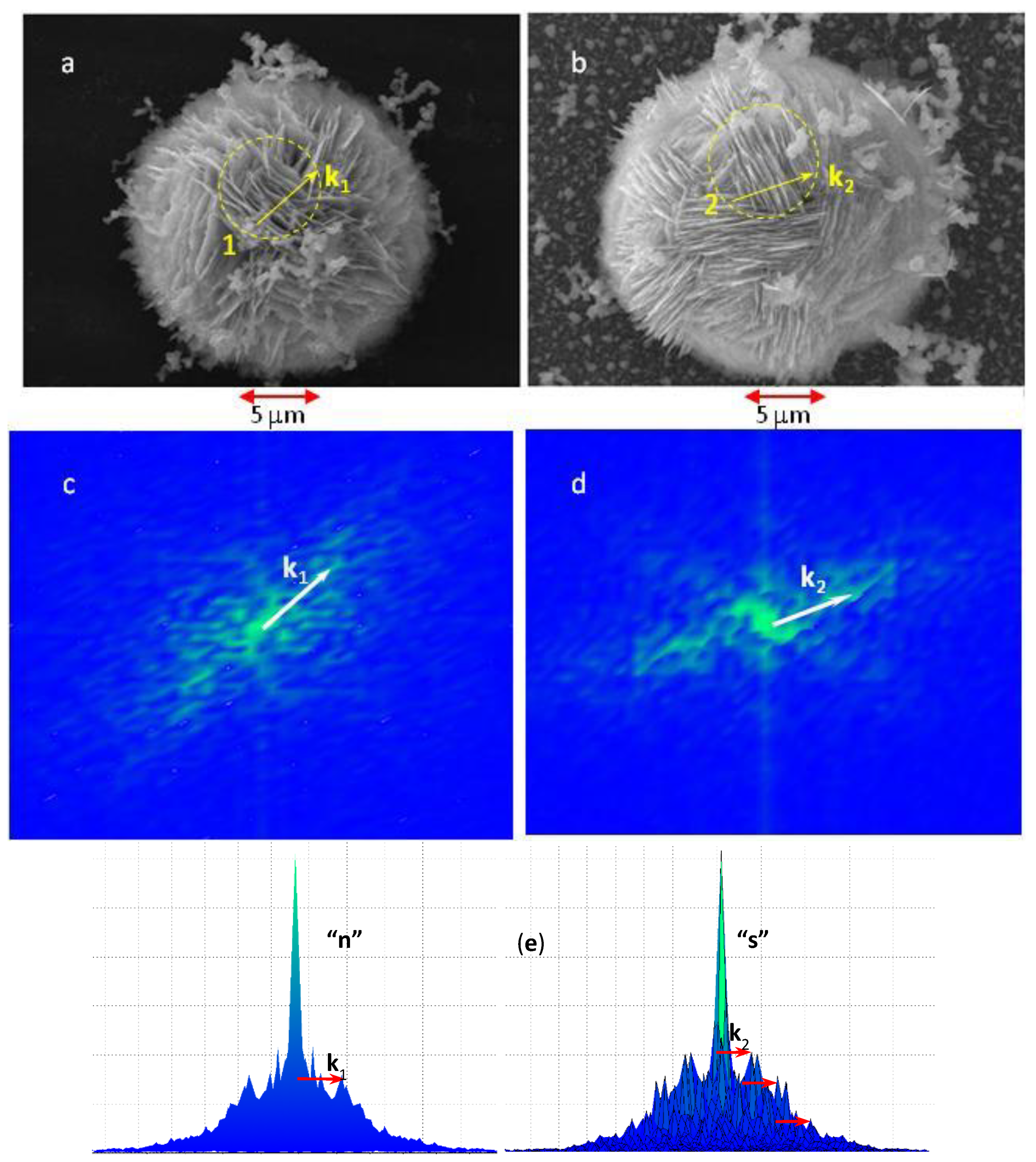 Nanomaterials 11 03184 g002 Nanomaterials 11 03184 g002