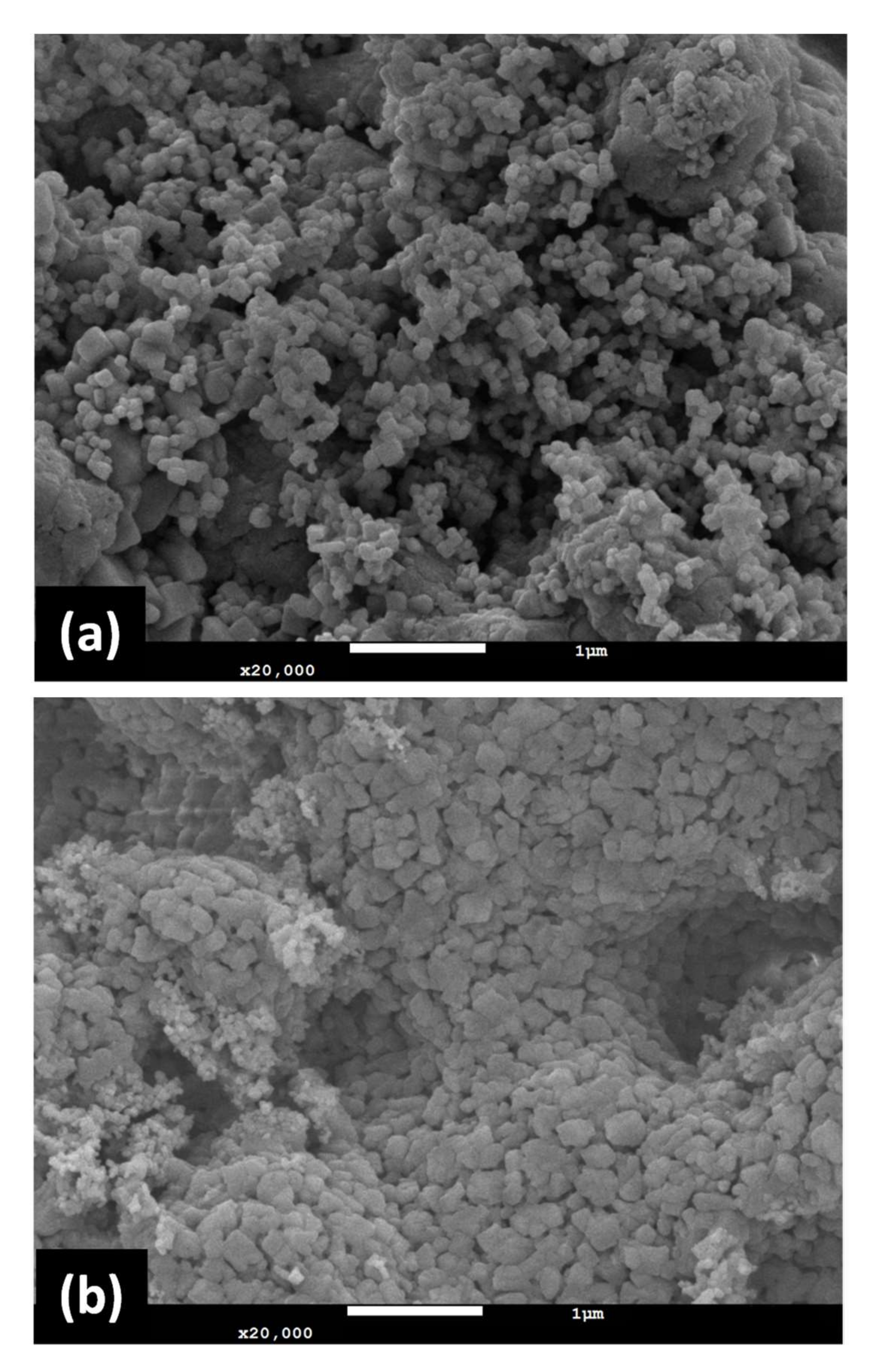 Nanomaterials 11 03188 g007