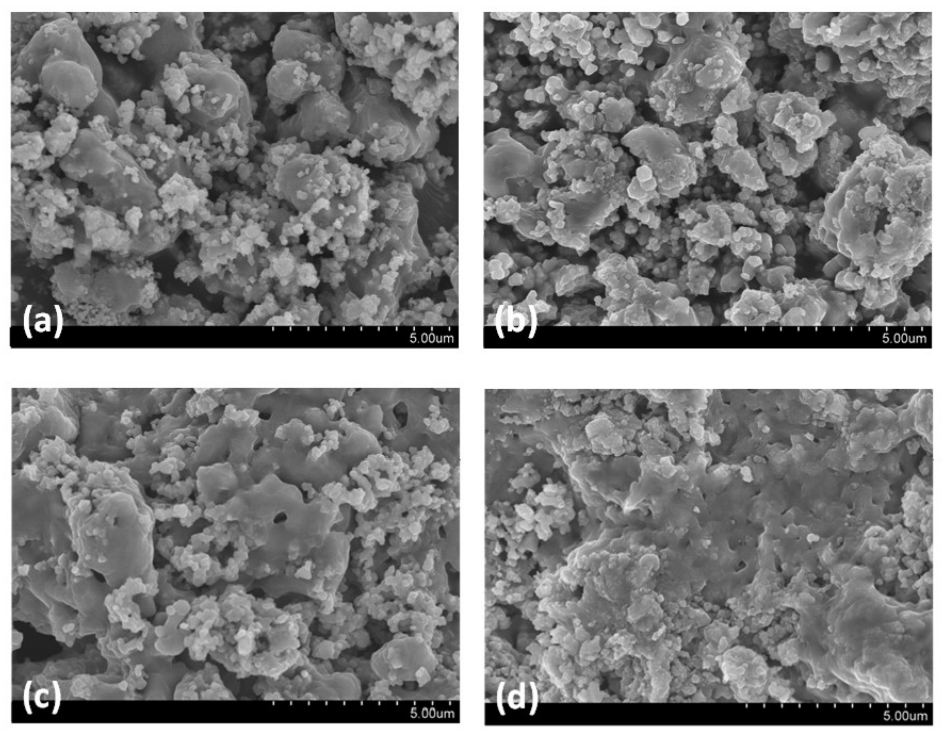 Nanomaterials 11 03188 g010