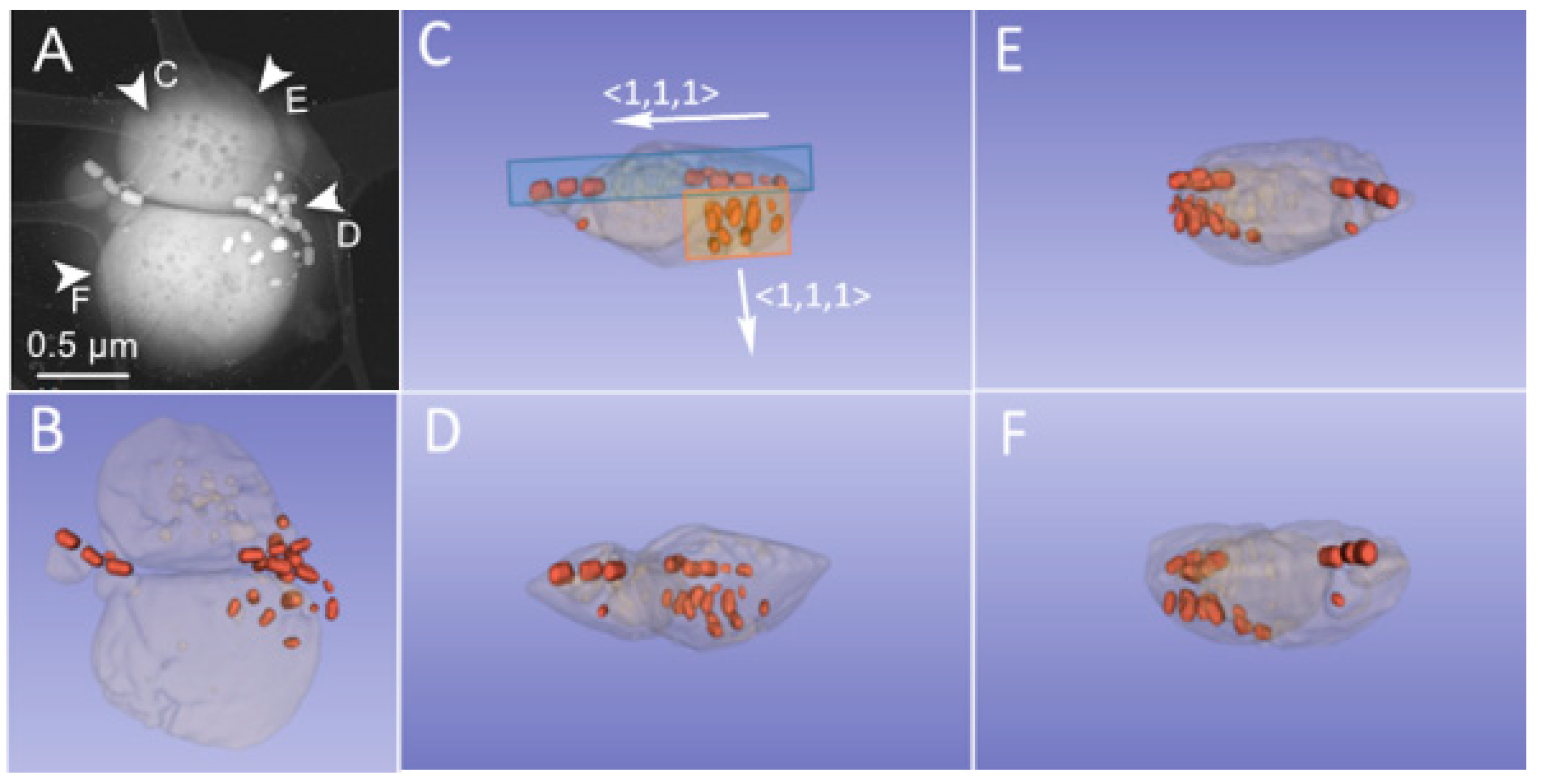 Nanomaterials 11 03189 g004 Nanomaterials 11 03189 g004