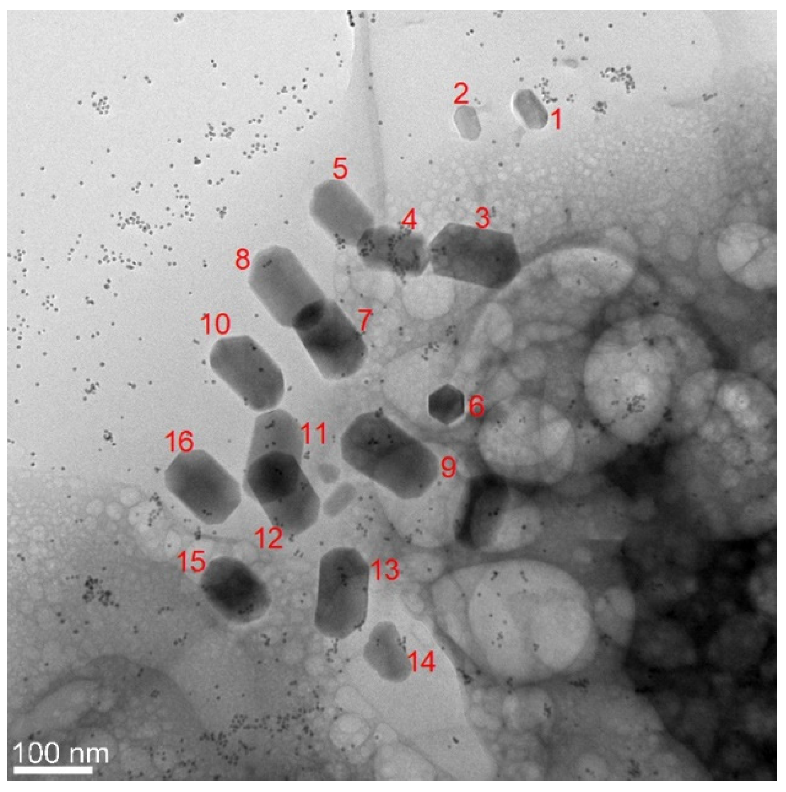 Nanomaterials 11 03189 g005 Nanomaterials 11 03189 g005