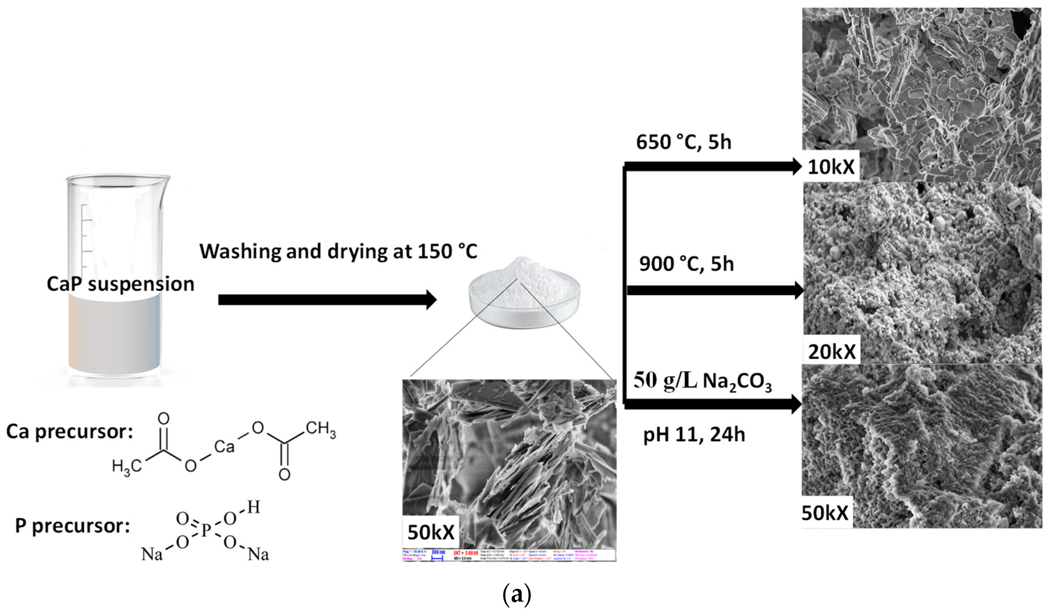 Nanomaterials 11 03194 g001a Nanomaterials 11 03194 g001a