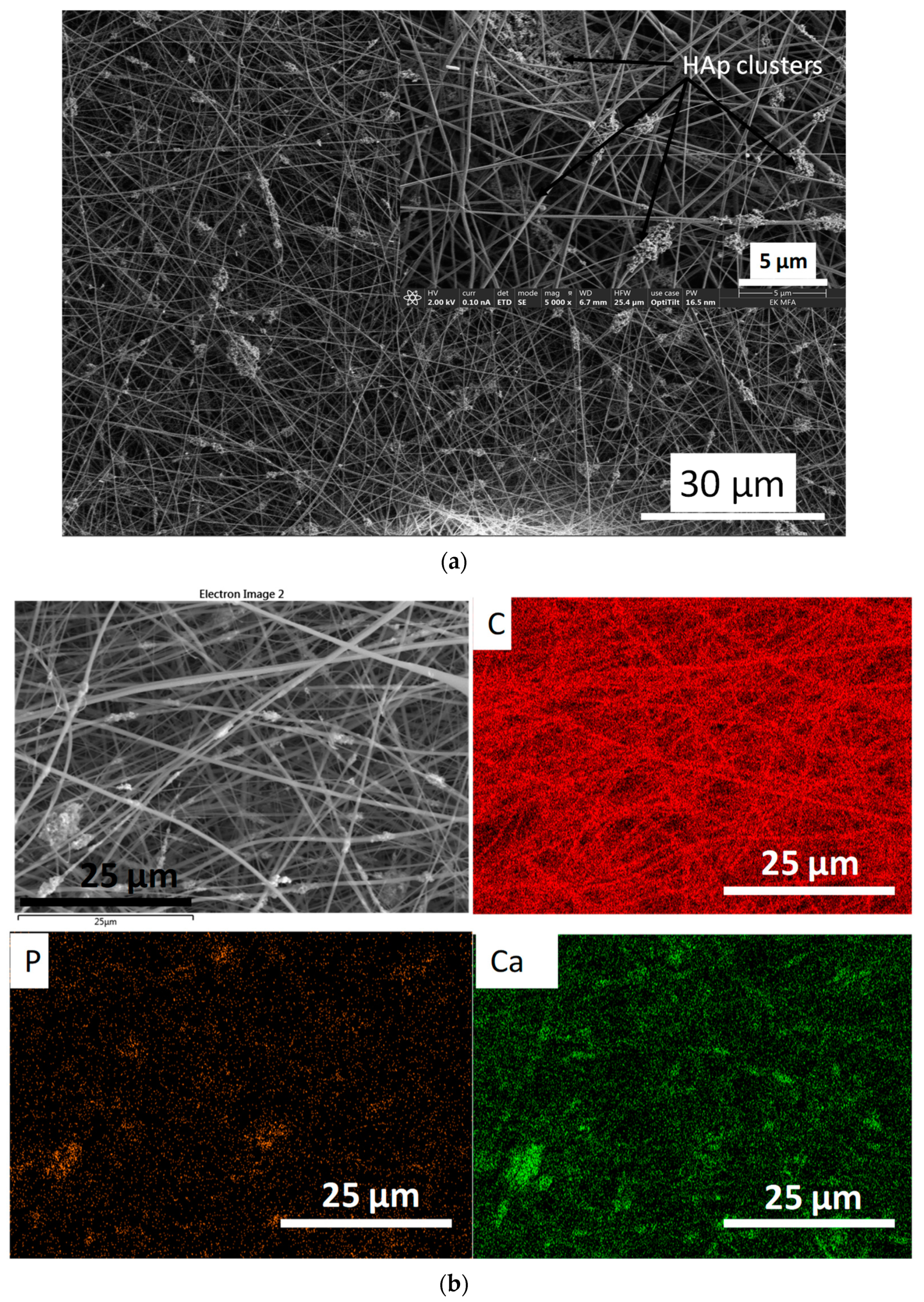Nanomaterials 11 03194 g007 Nanomaterials 11 03194 g007