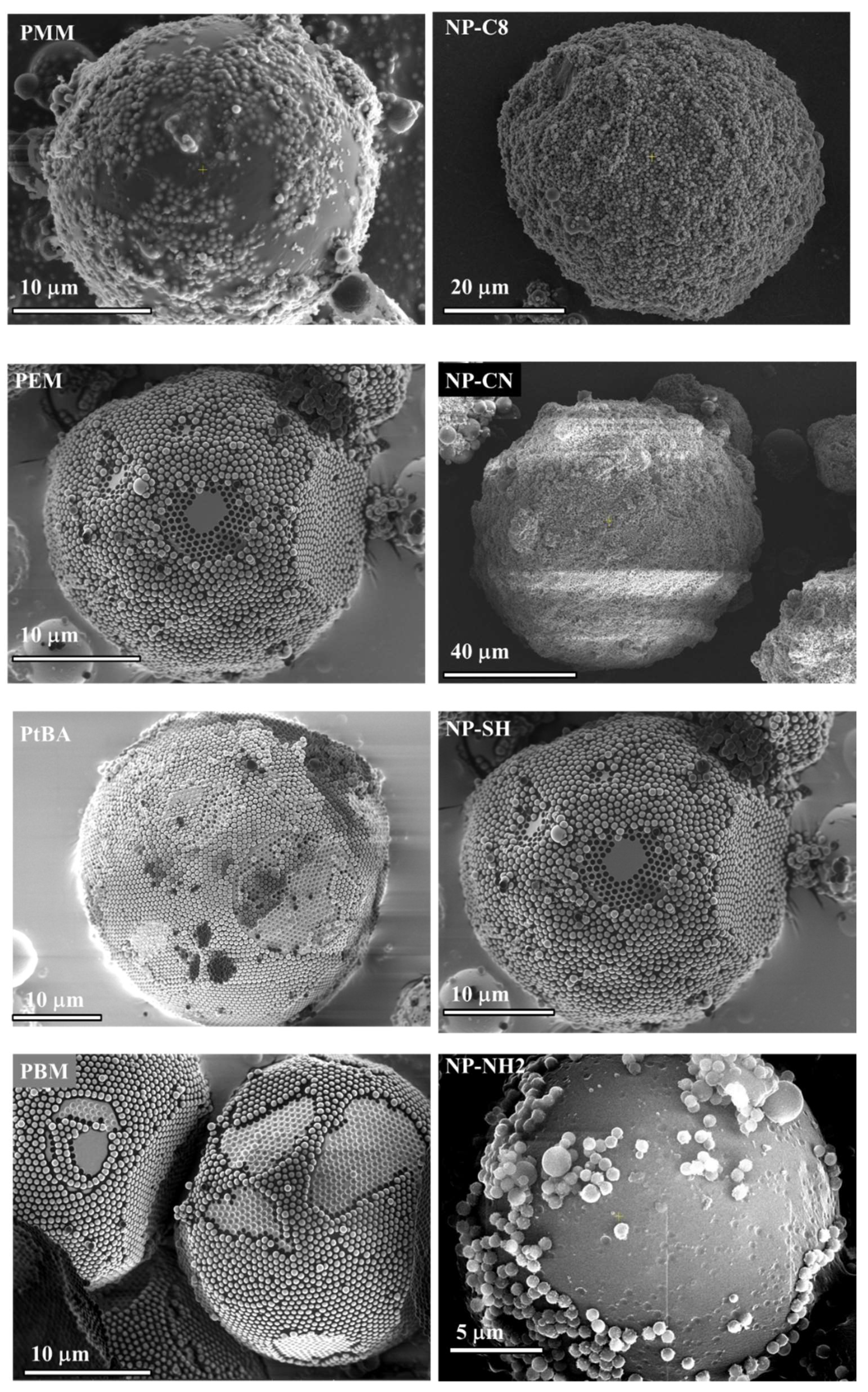 Nanomaterials 11 03200 g001 550