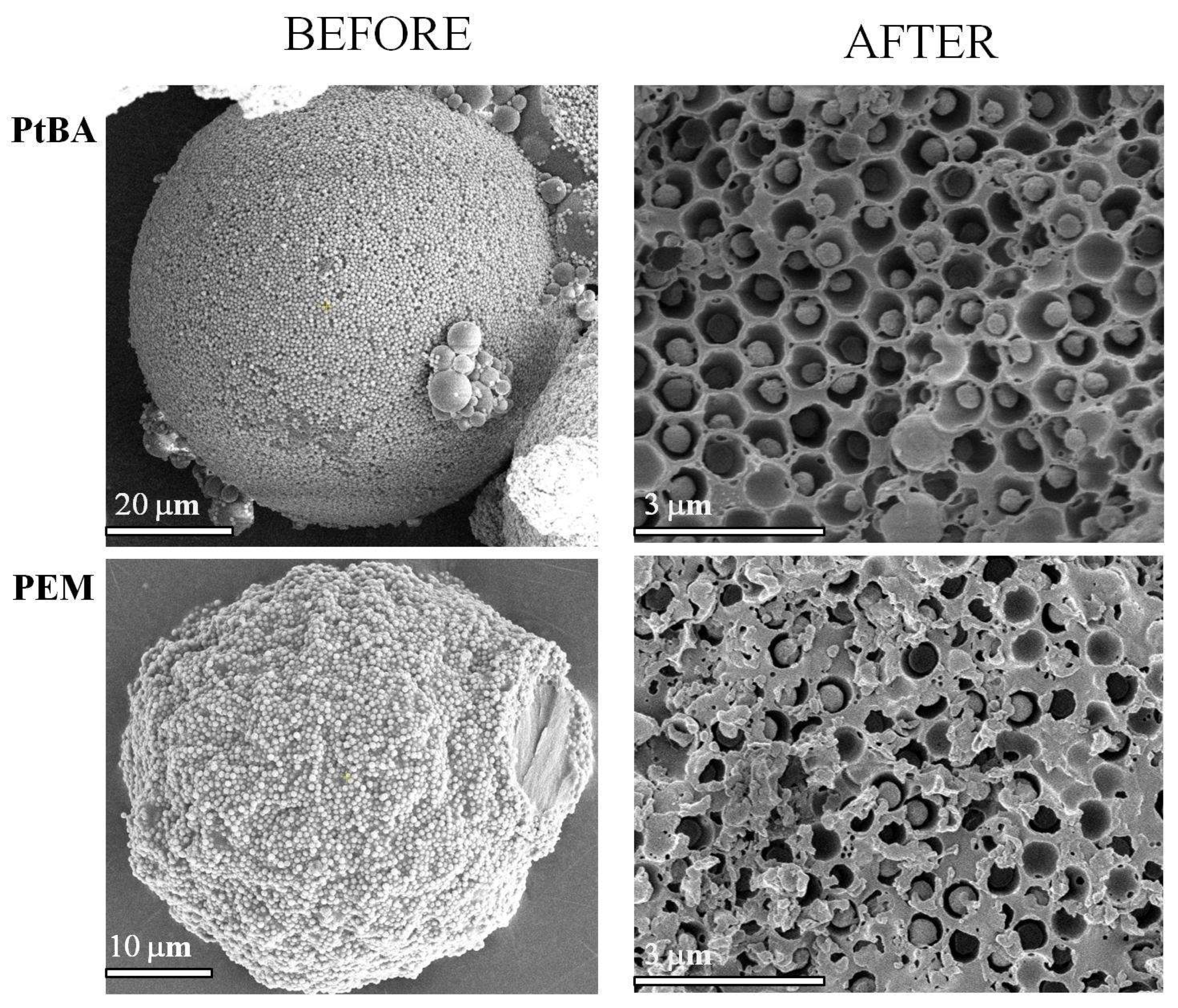 Nanomaterials 11 03200 g002 550