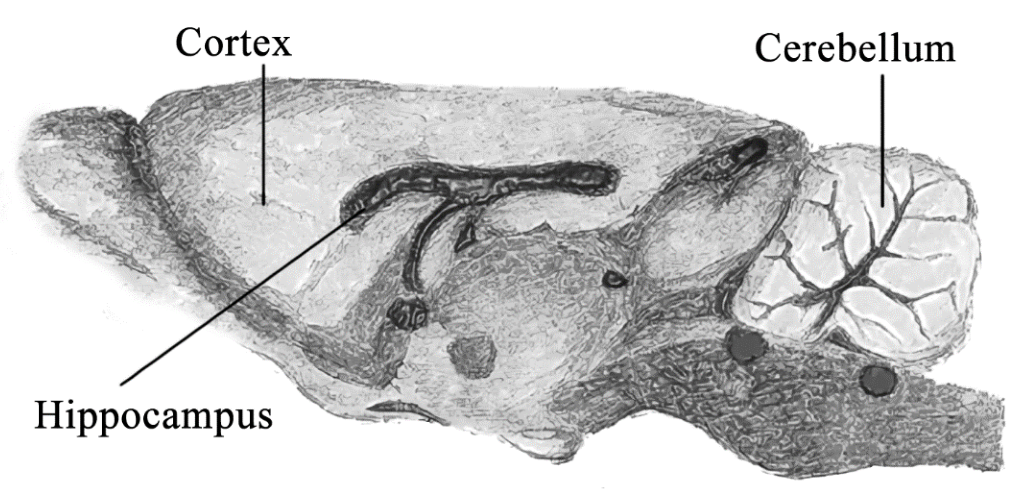 Nanomaterials 11 03204 g001 550