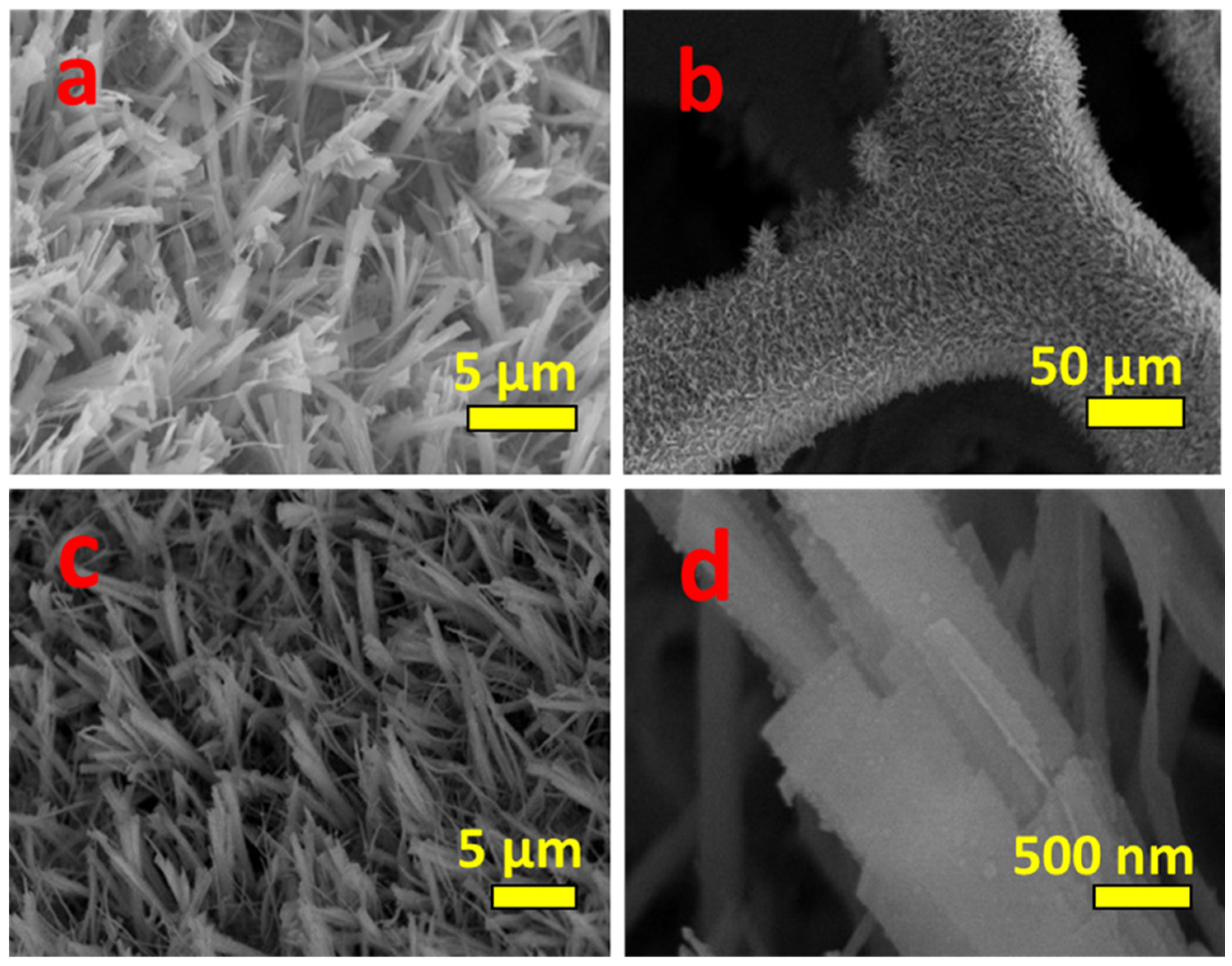 Nanomaterials 11 03209 g003