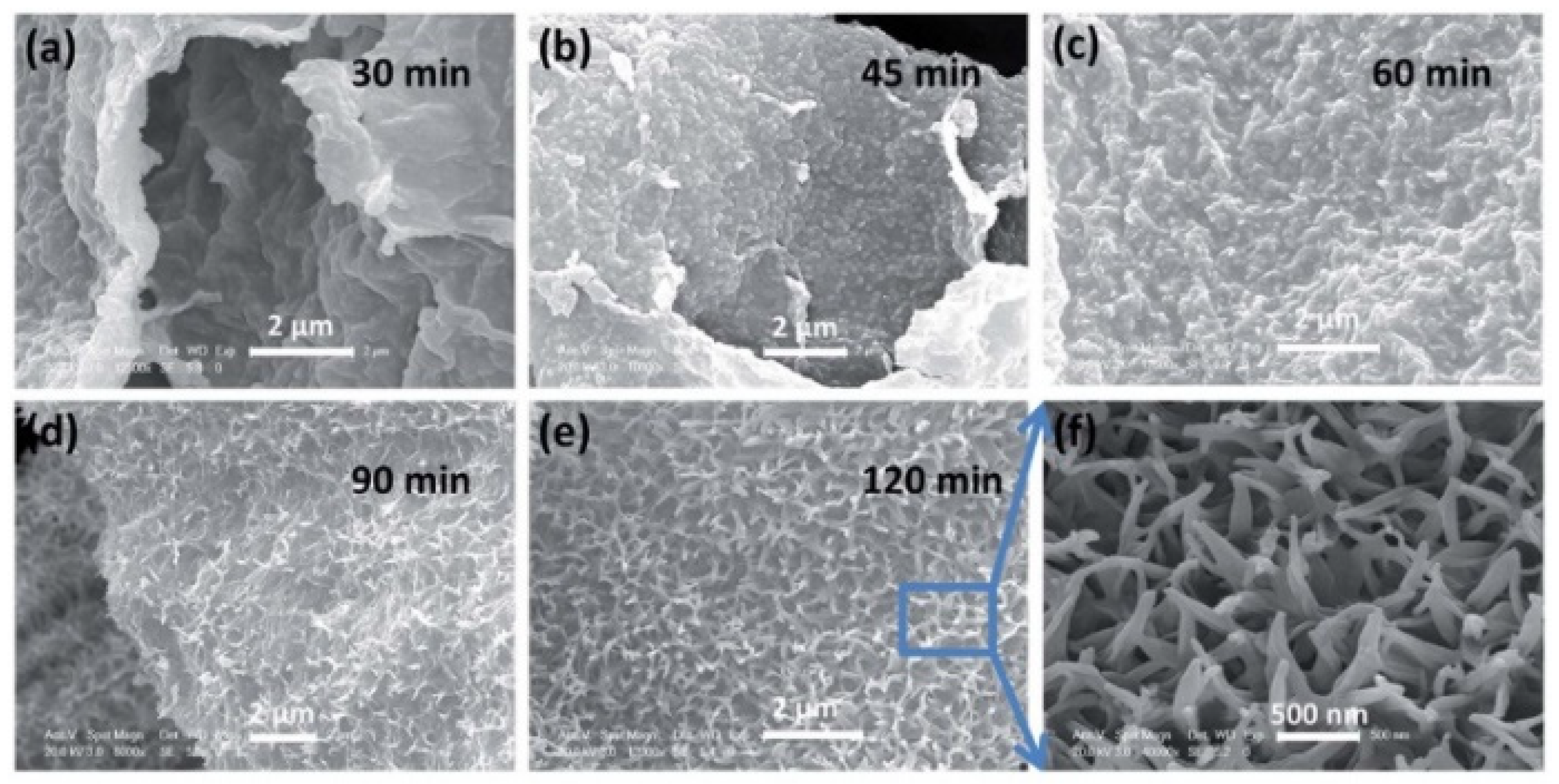 Nanomaterials 11 03213 g002