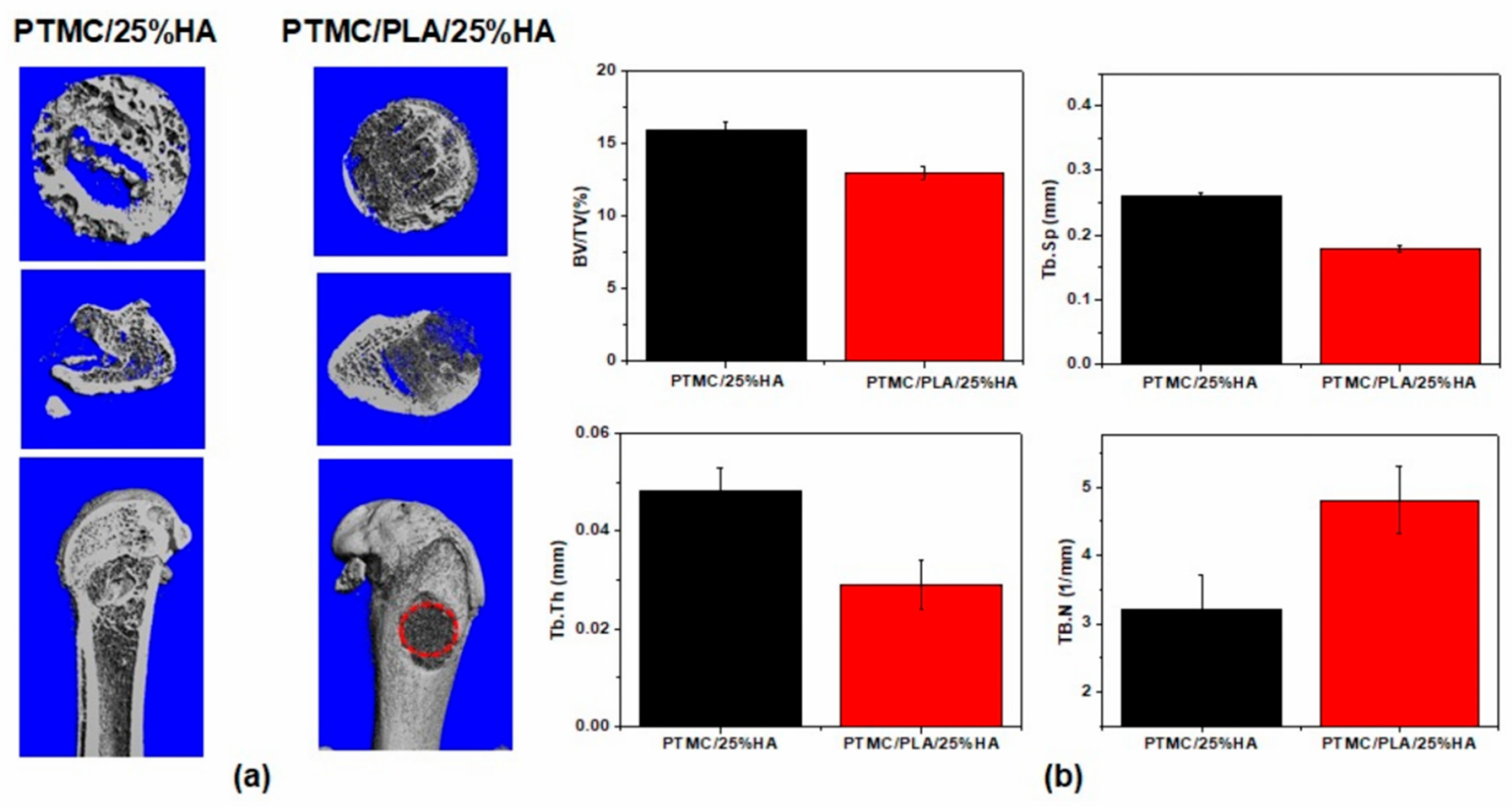 Nanomaterials 11 03215 g009