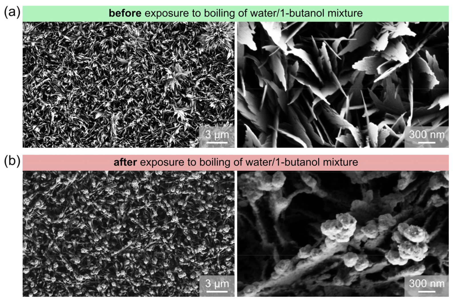 Nanomaterials 11 03216 g008