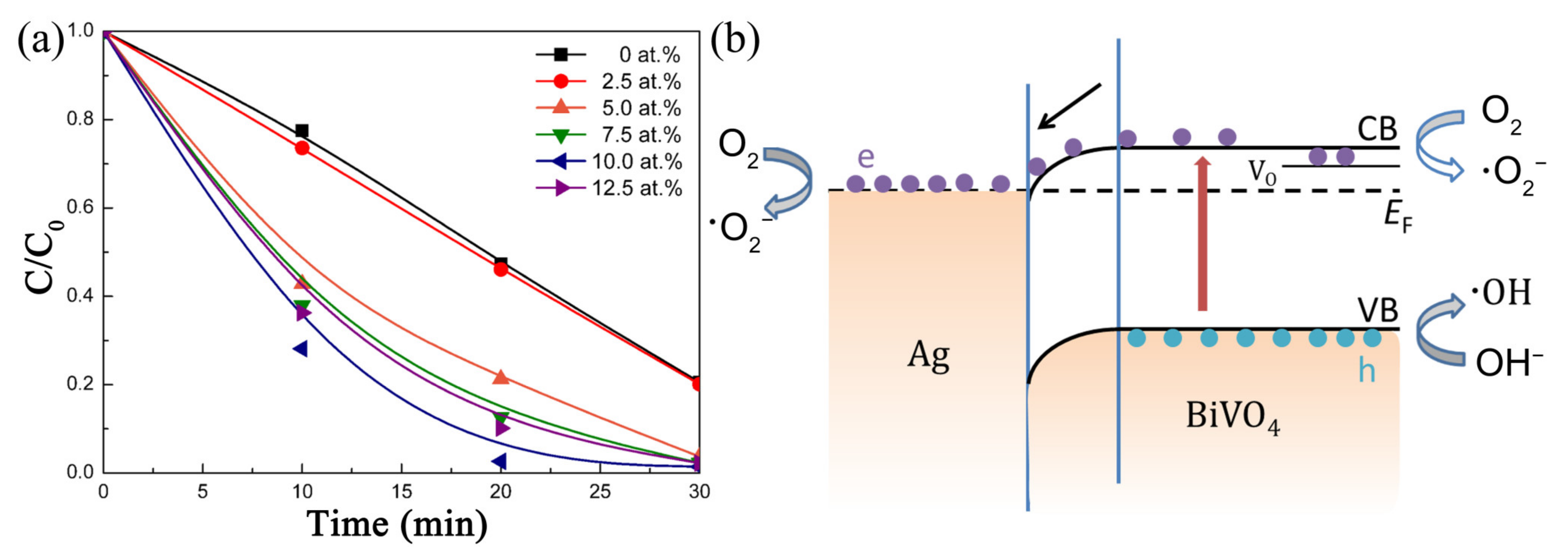 Nanomaterials 11 03221 g010 550