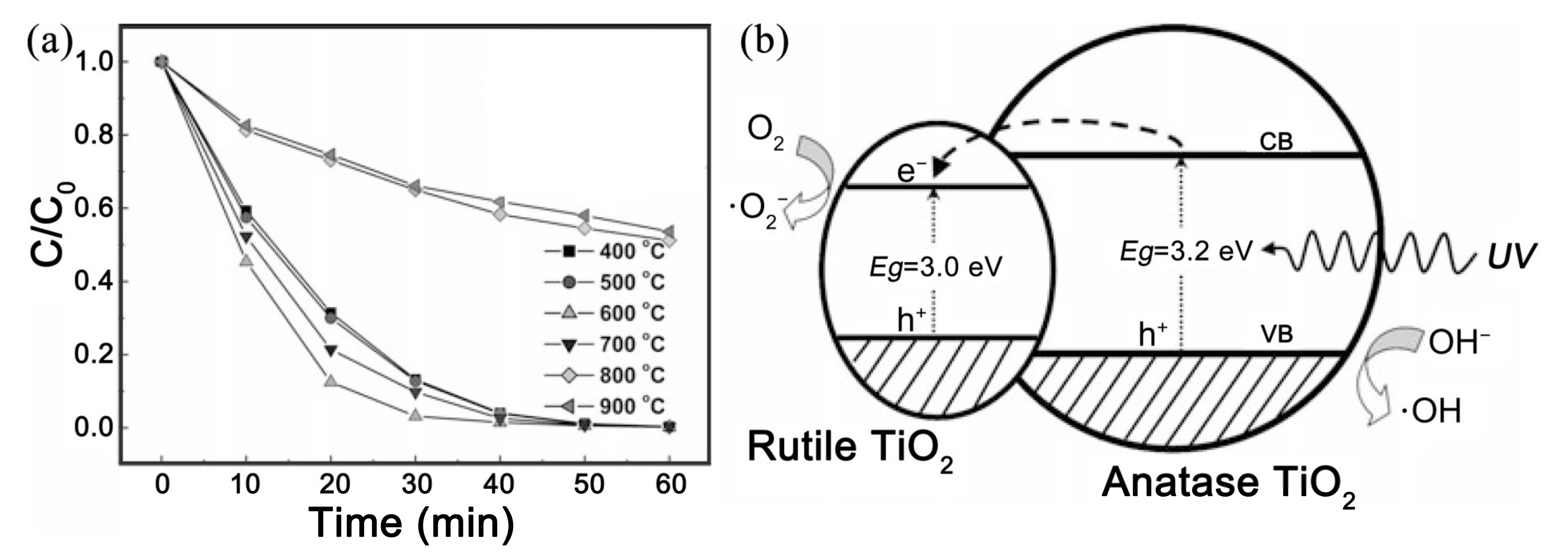 Nanomaterials 11 03221 g012 550