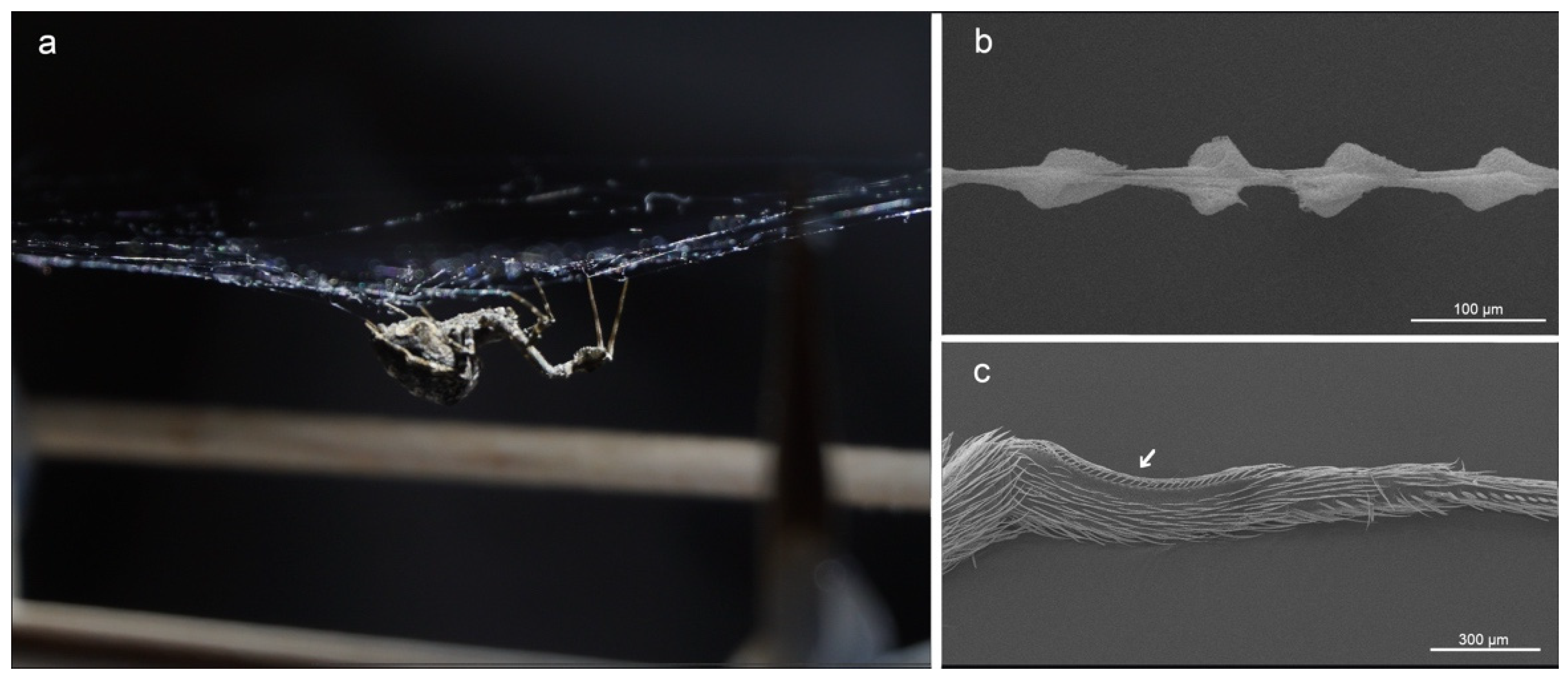 Nanomaterials 11 03222 g001 Nanomaterials 11 03222 g001