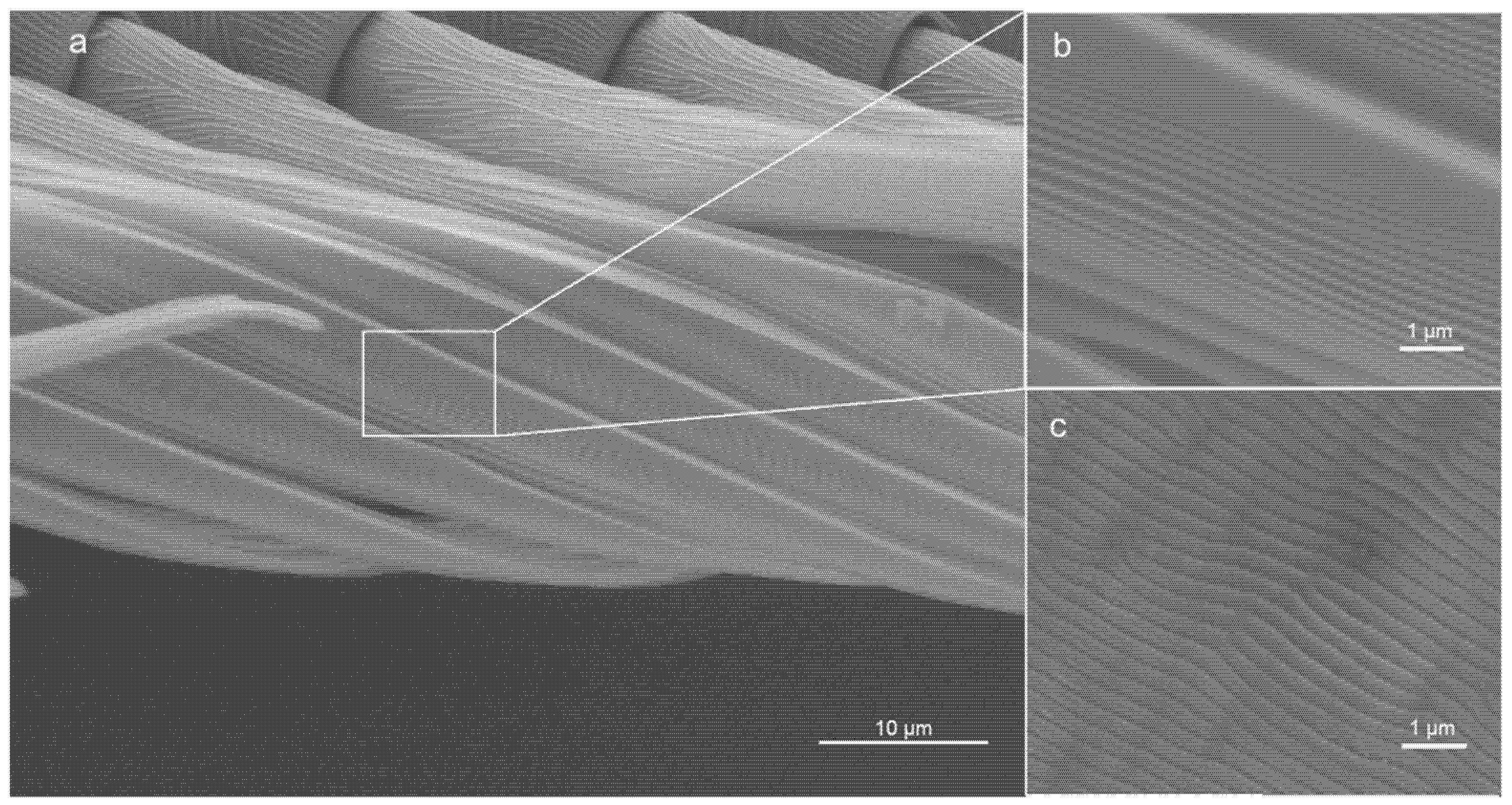 Nanomaterials 11 03222 g002 Nanomaterials 11 03222 g002