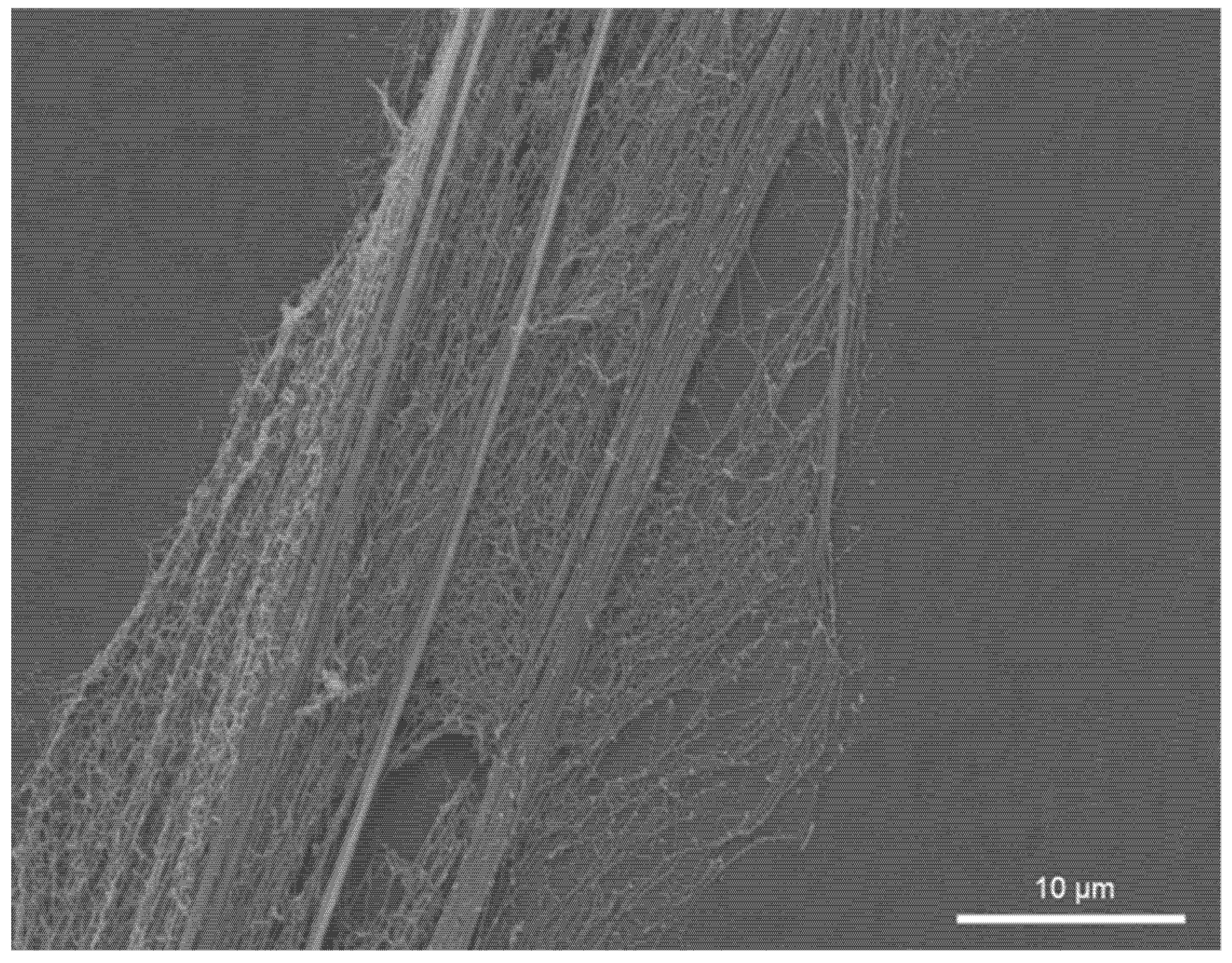 Nanomaterials 11 03222 g006 Nanomaterials 11 03222 g006