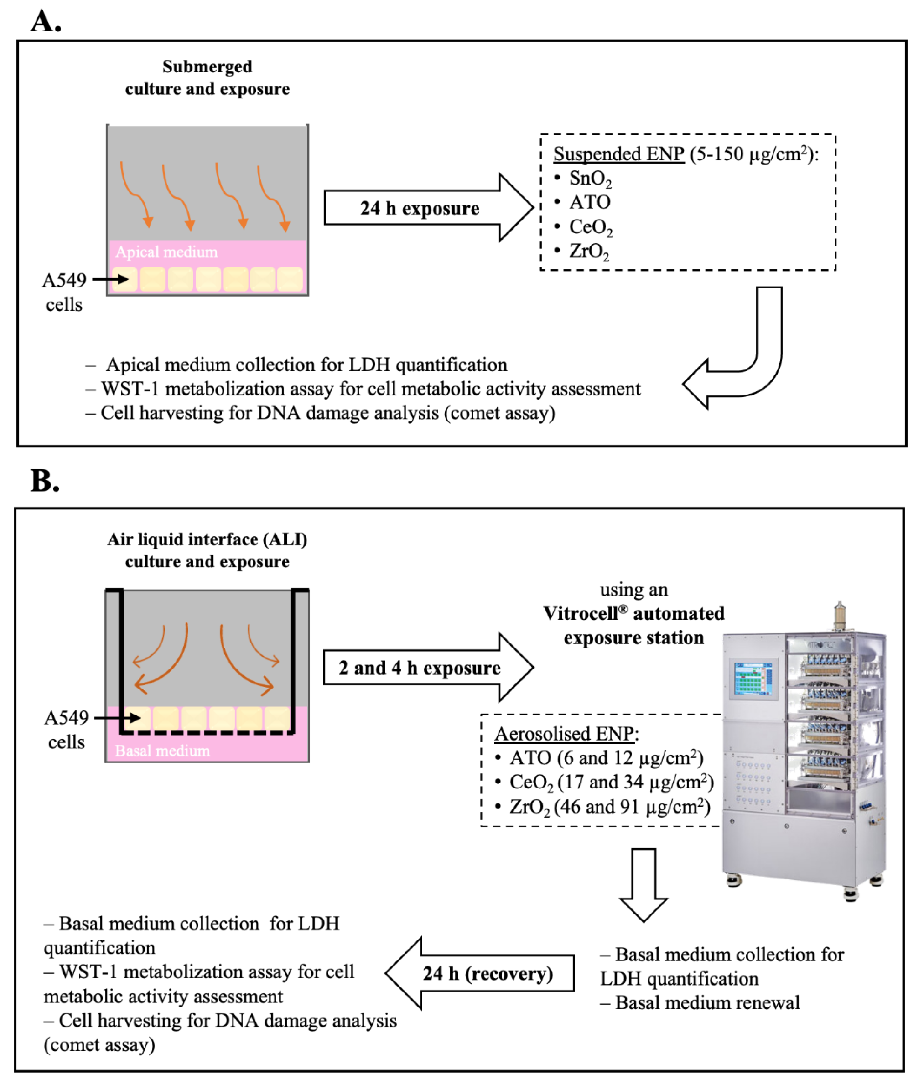 Nanomaterials 11 03225 g002
