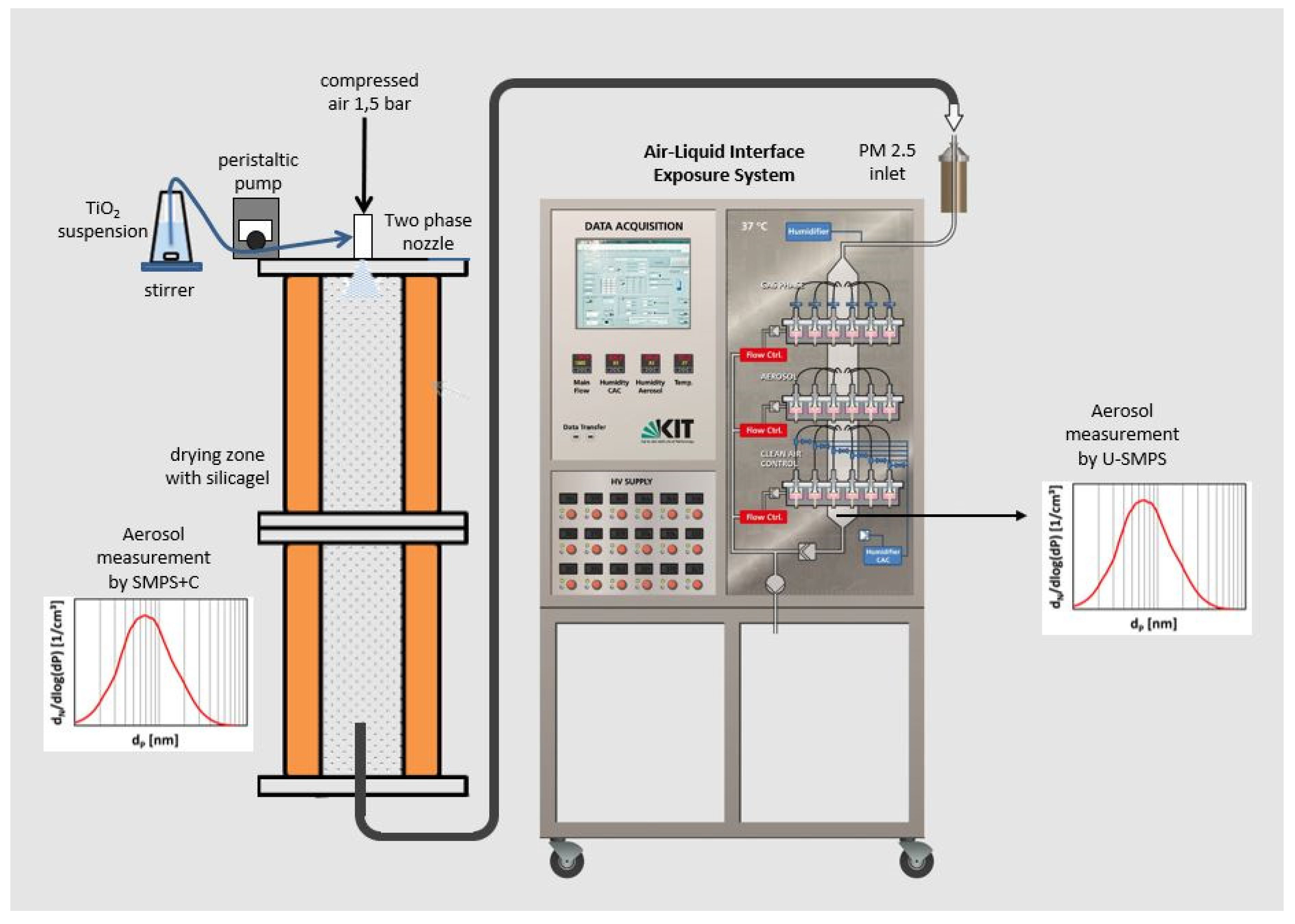Nanomaterials 11 03226 g001