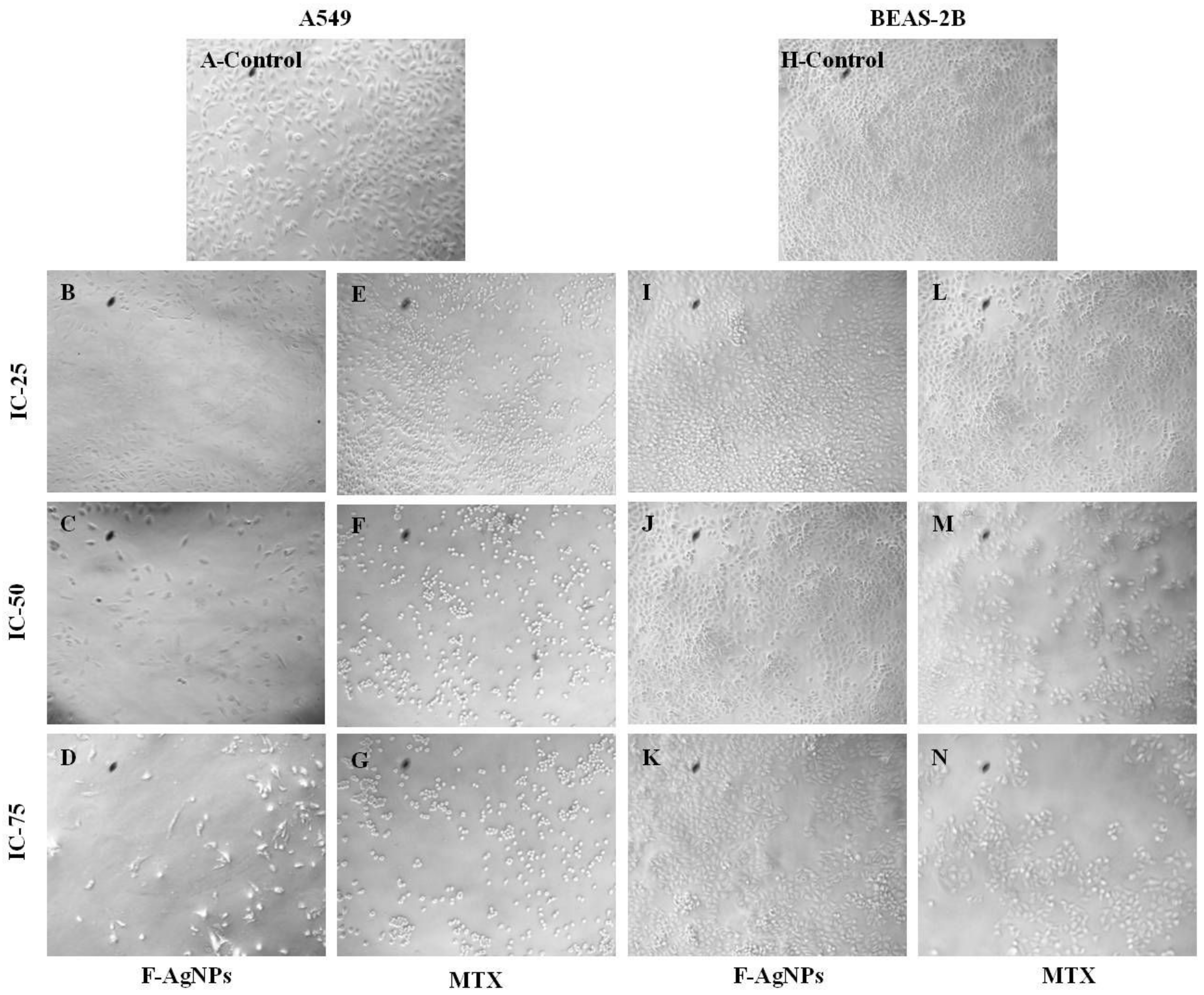 Nanomaterials 11 03227 g005 550