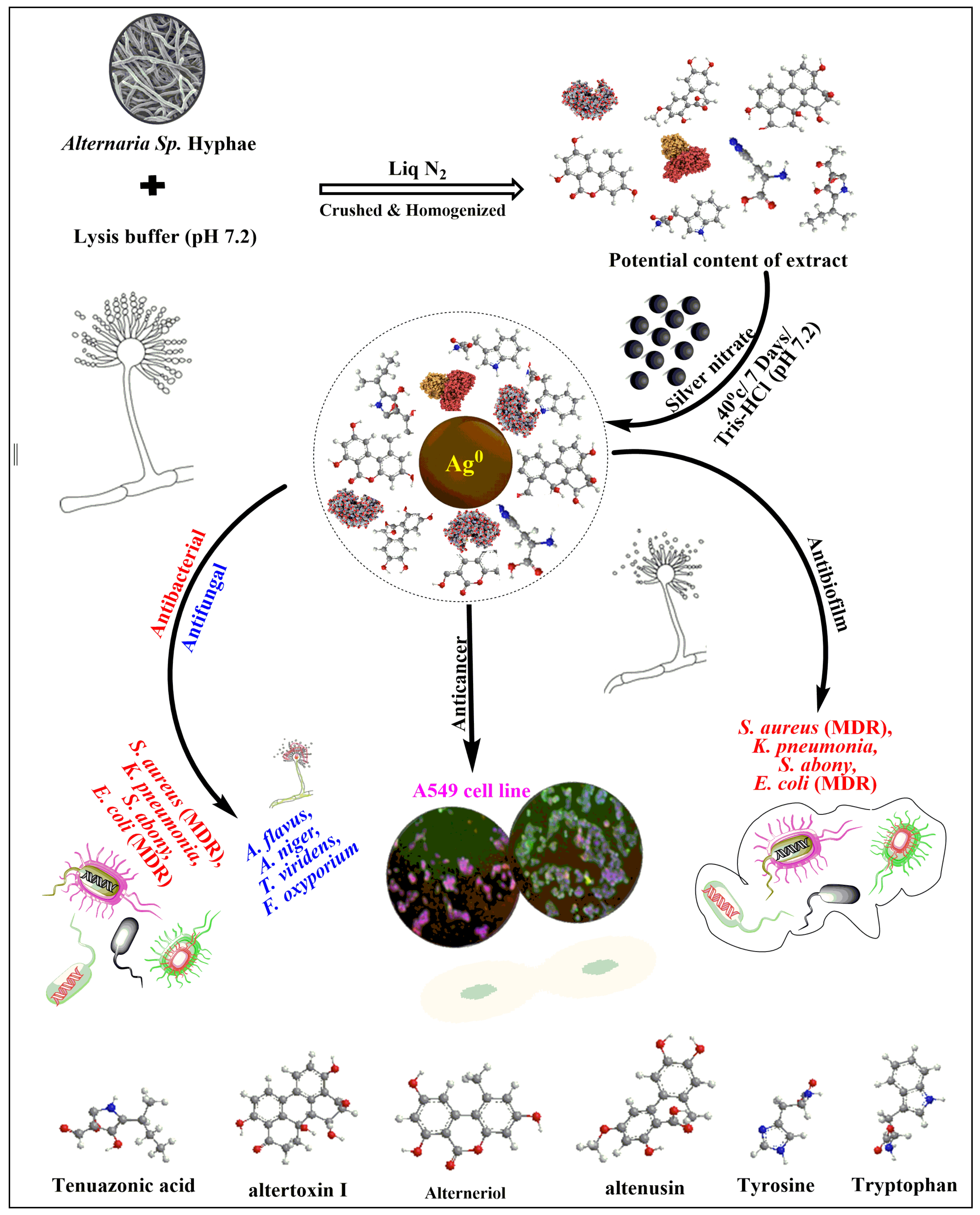 Nanomaterials 11 03227 g008 550