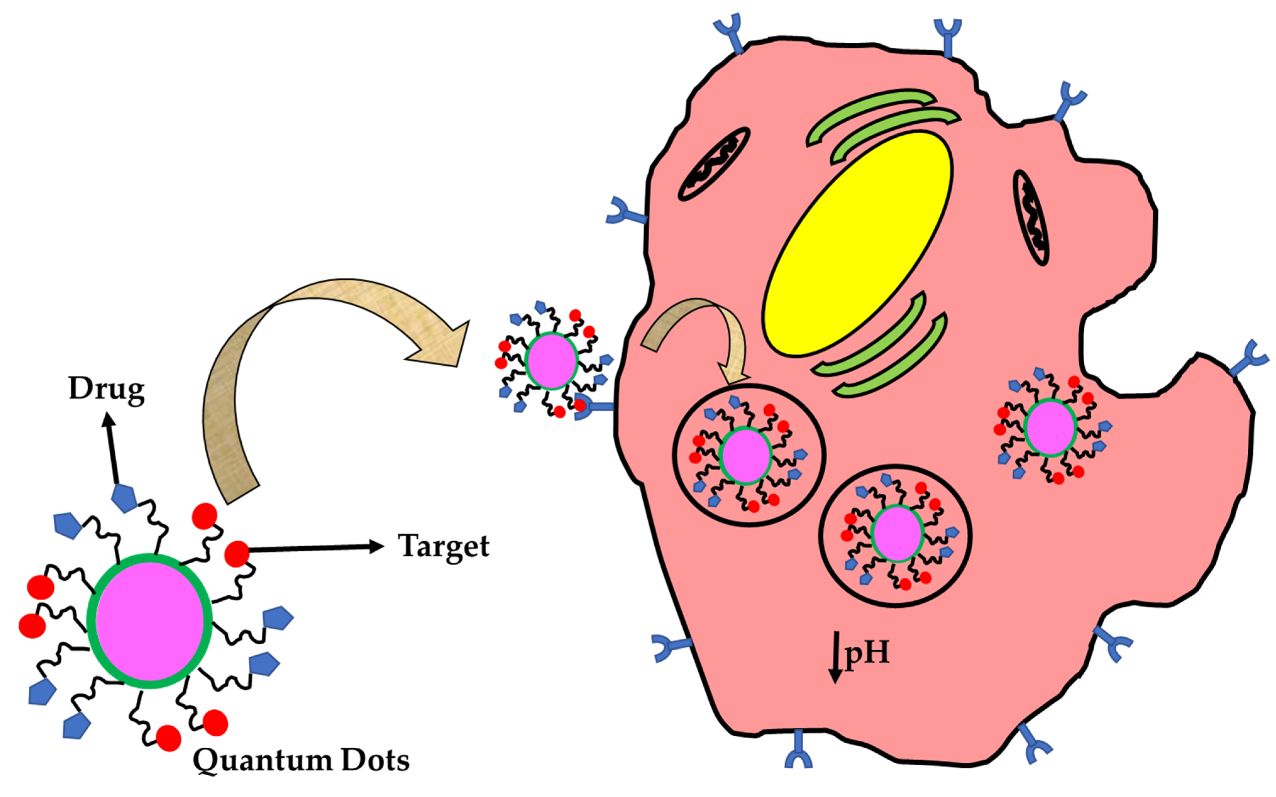 Nanomaterials 11 03228 g002 Nanomaterials 11 03228 g002