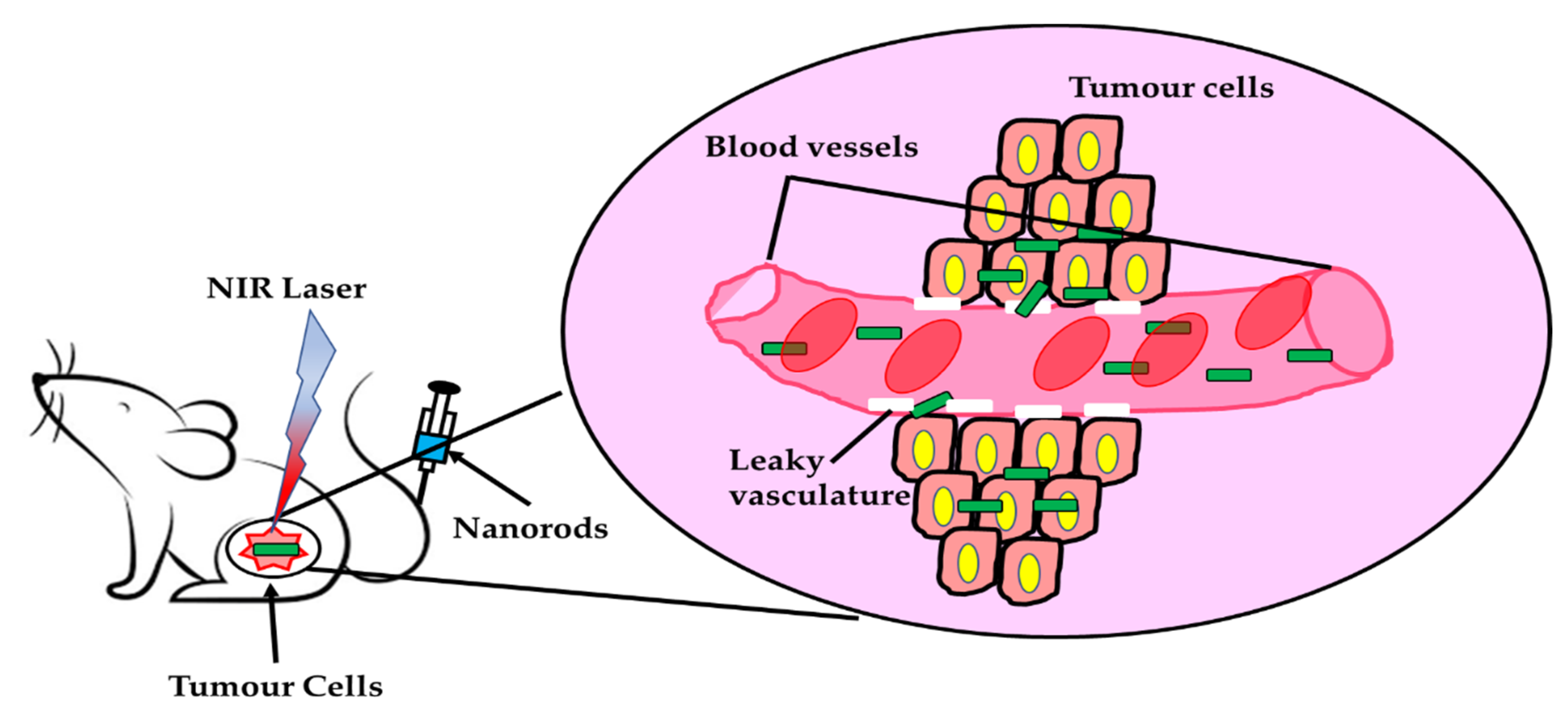 Nanomaterials 11 03228 g003 Nanomaterials 11 03228 g003