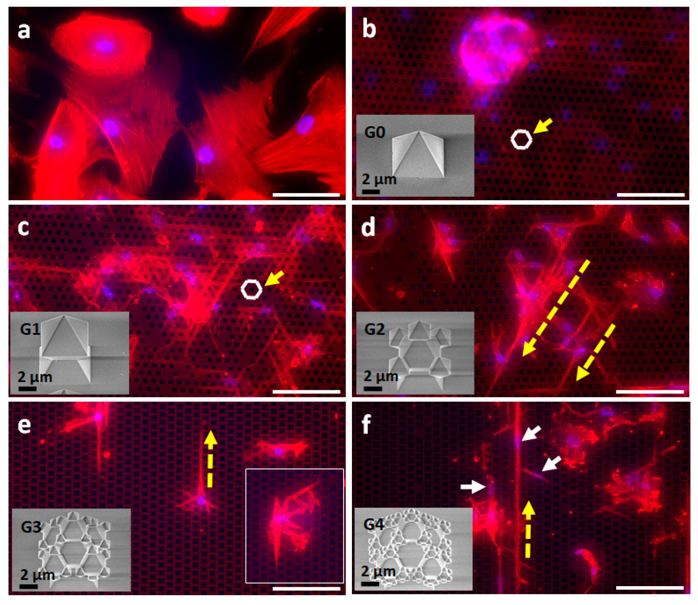 Nanomaterials 11 03233 g002