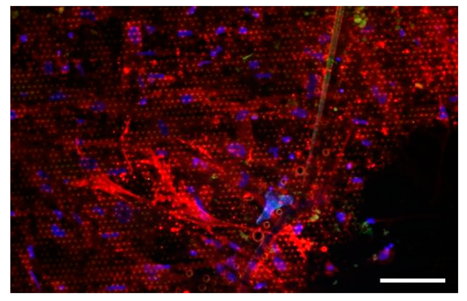 Nanomaterials 11 03233 g006
