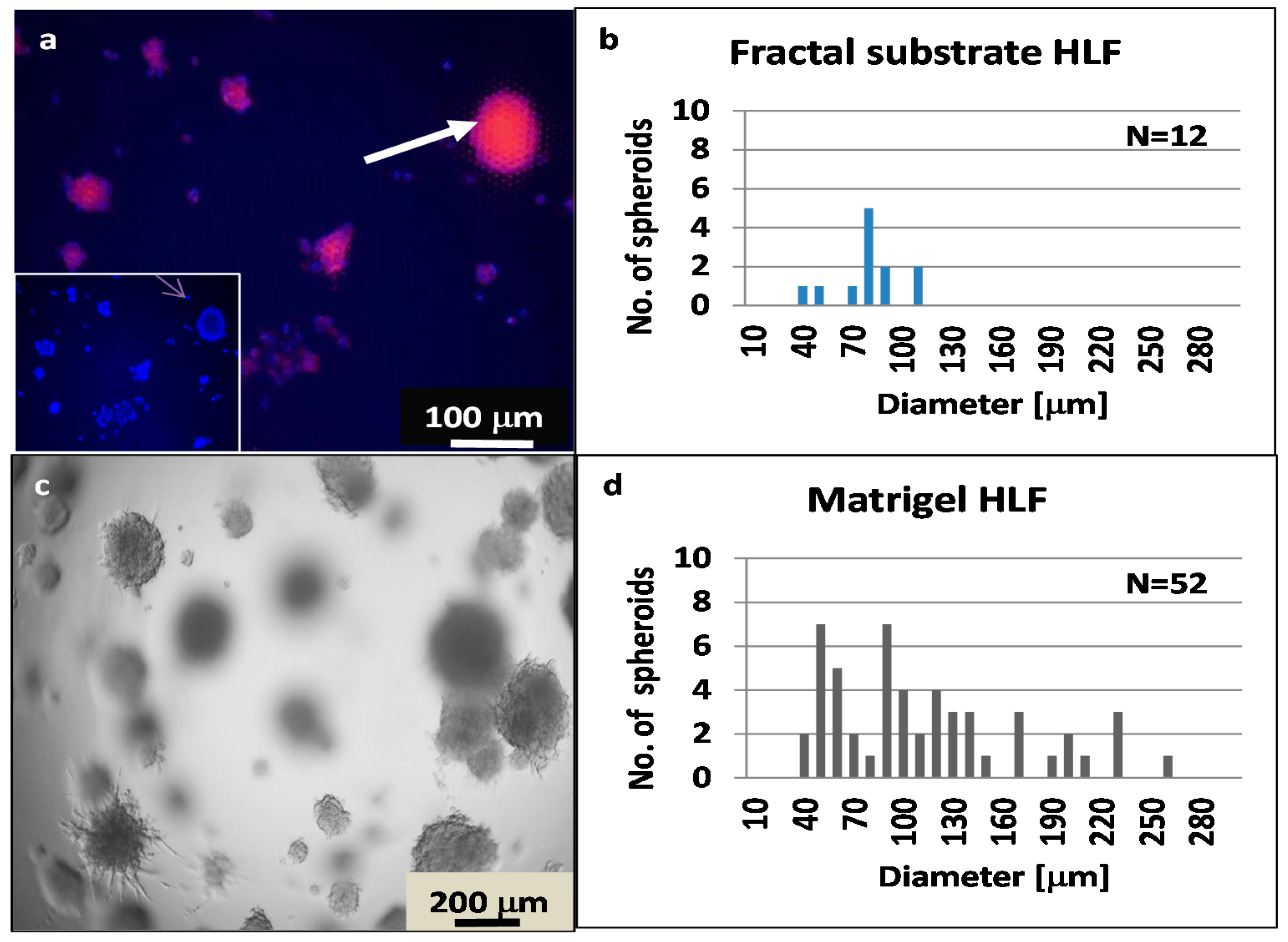 Nanomaterials 11 03233 g007