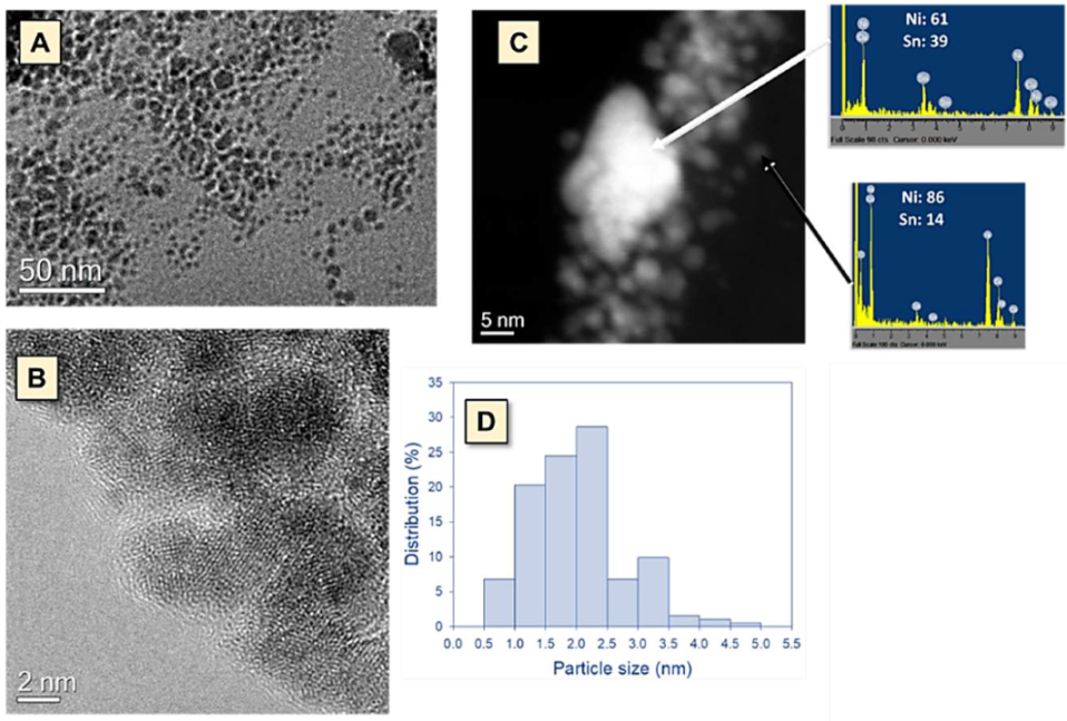 Nanomaterials 11 03234 g001