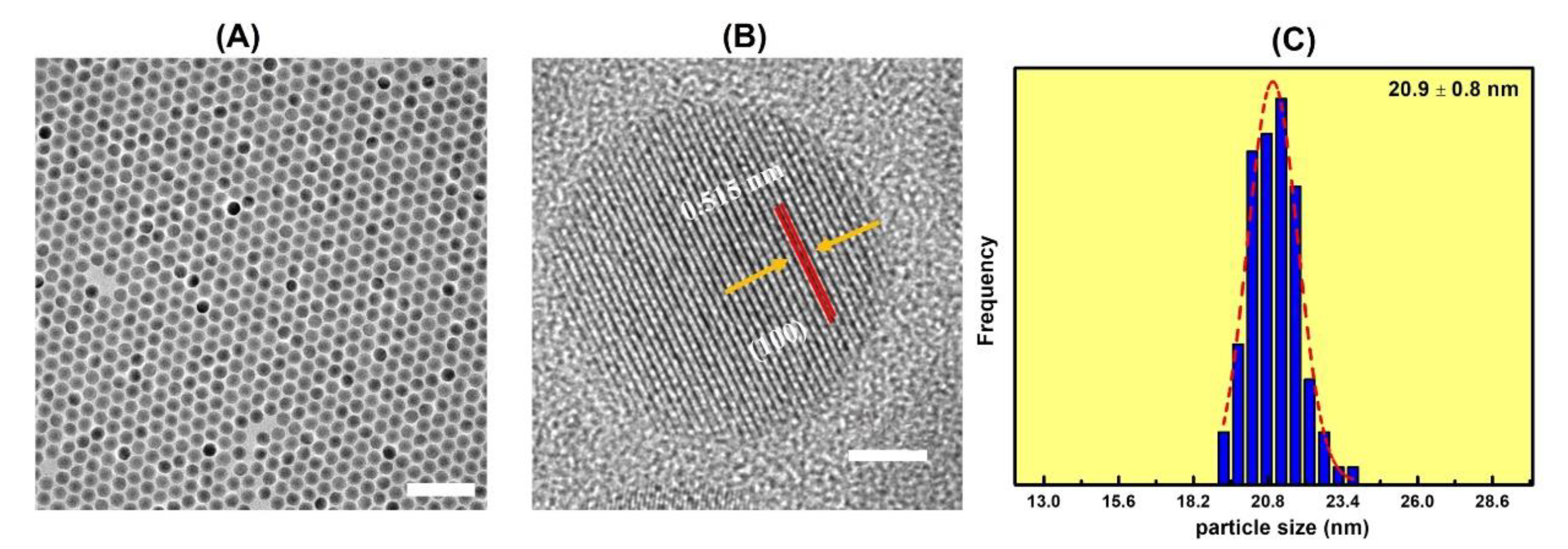 Nanomaterials 11 03237 g001