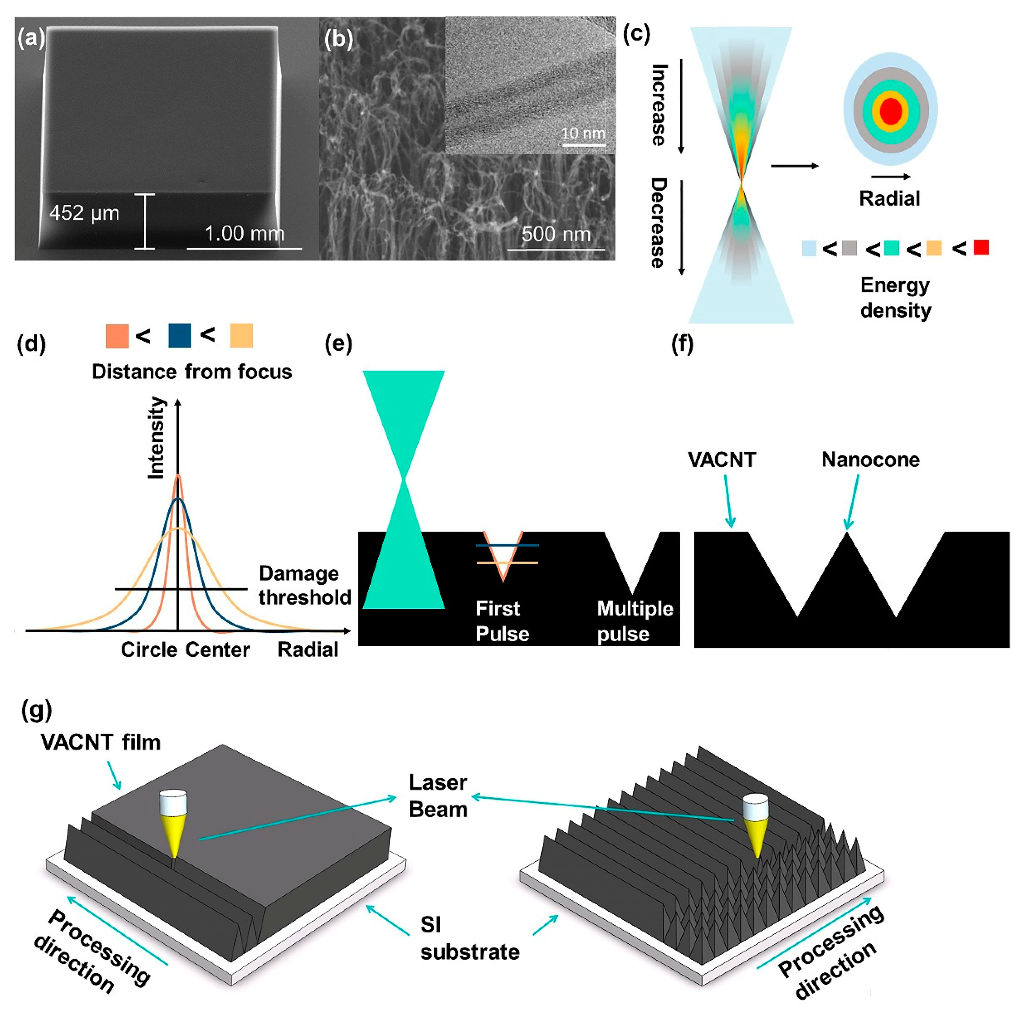 Nanomaterials 11 03244 g001