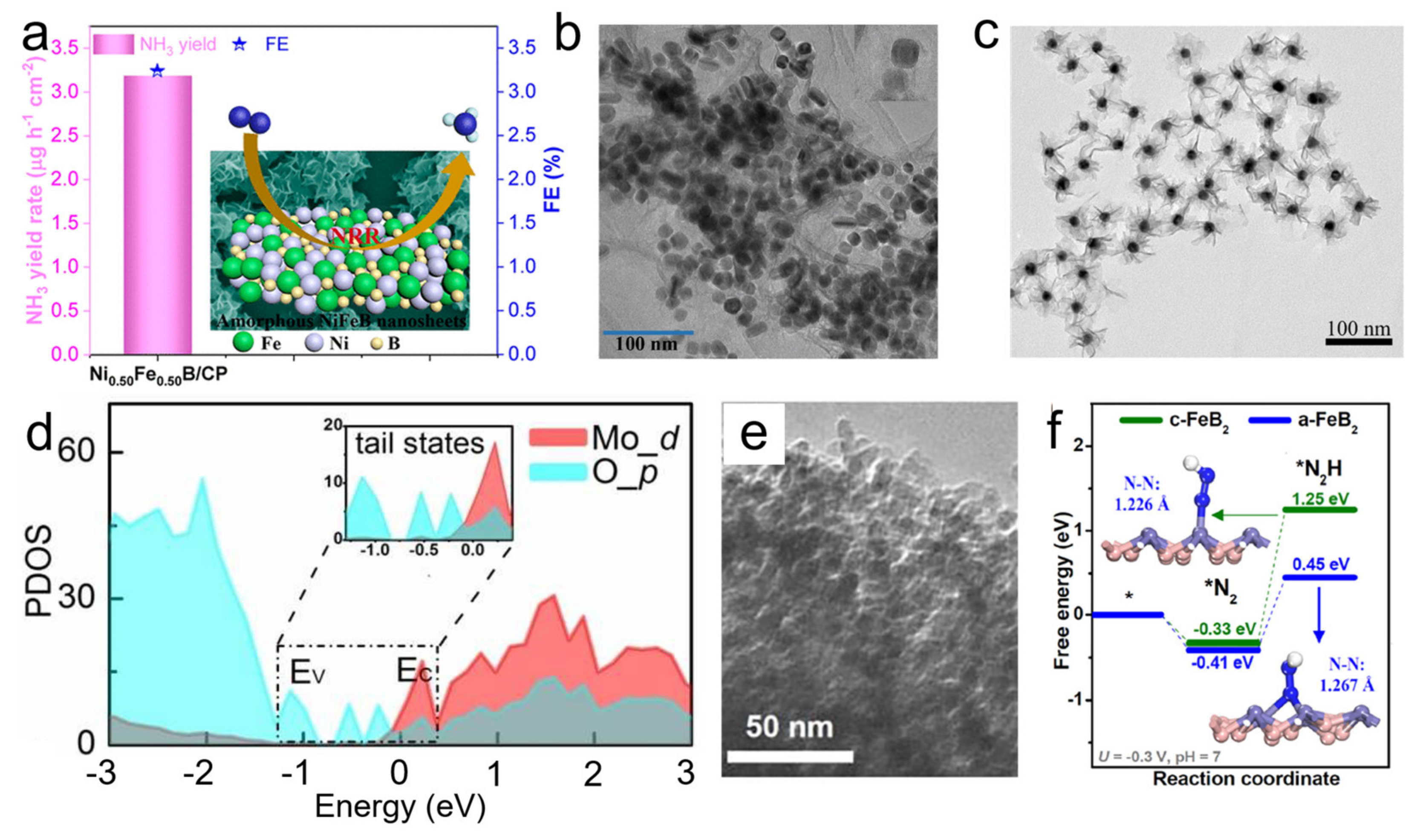 Nanomaterials 11 03246 g007 550