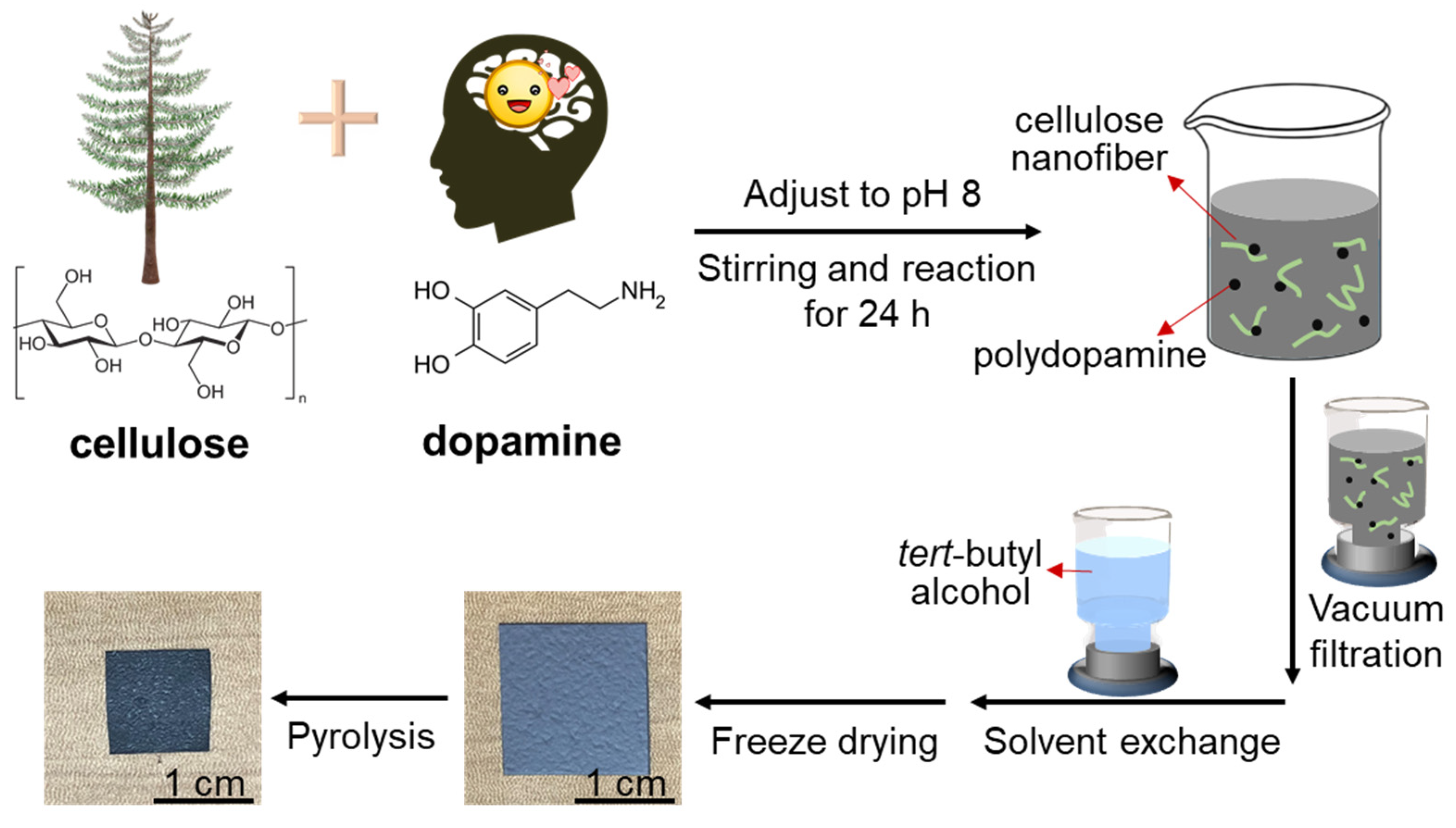 Nanomaterials 11 03249 g001