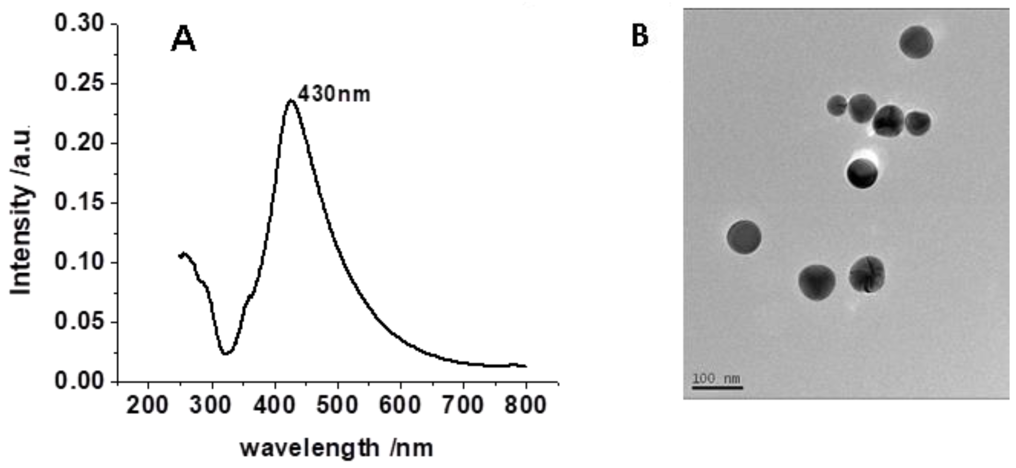 Nanomaterials 11 03250 g001