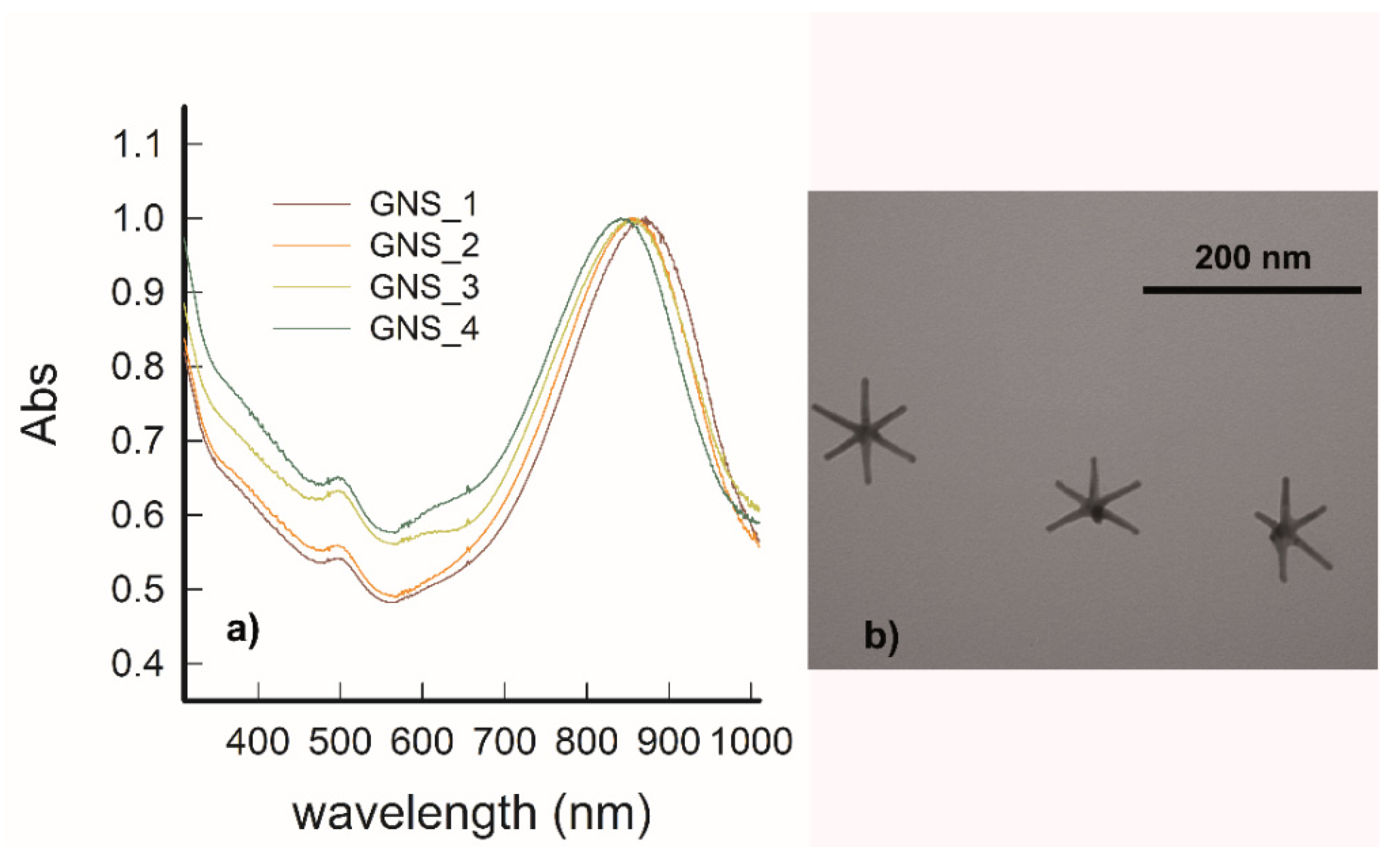 Nanomaterials 11 03252 g001