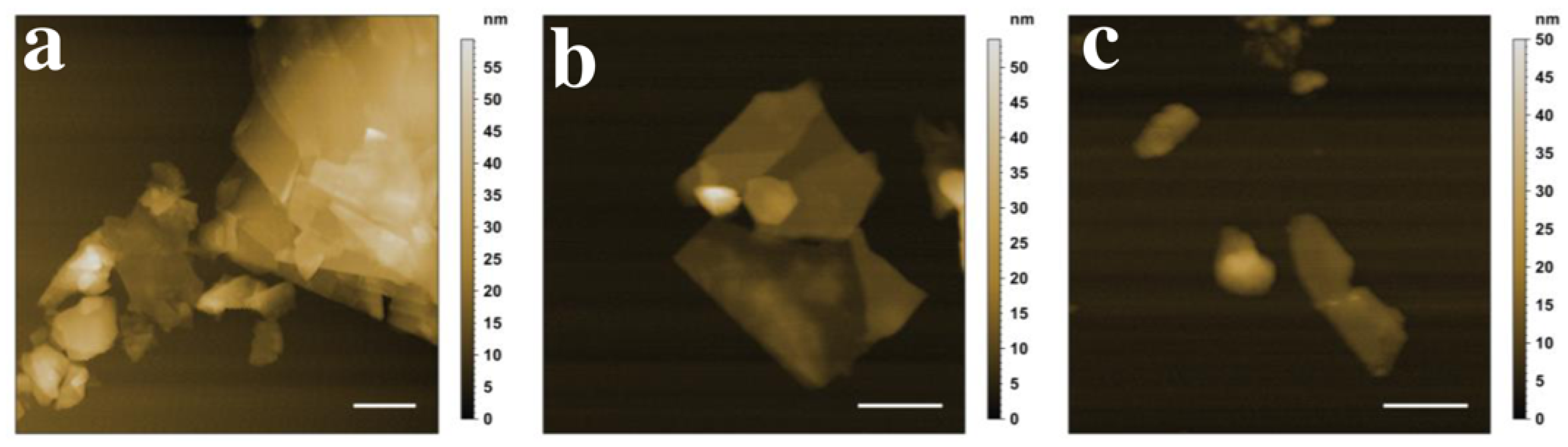 Nanomaterials 11 03253 g010