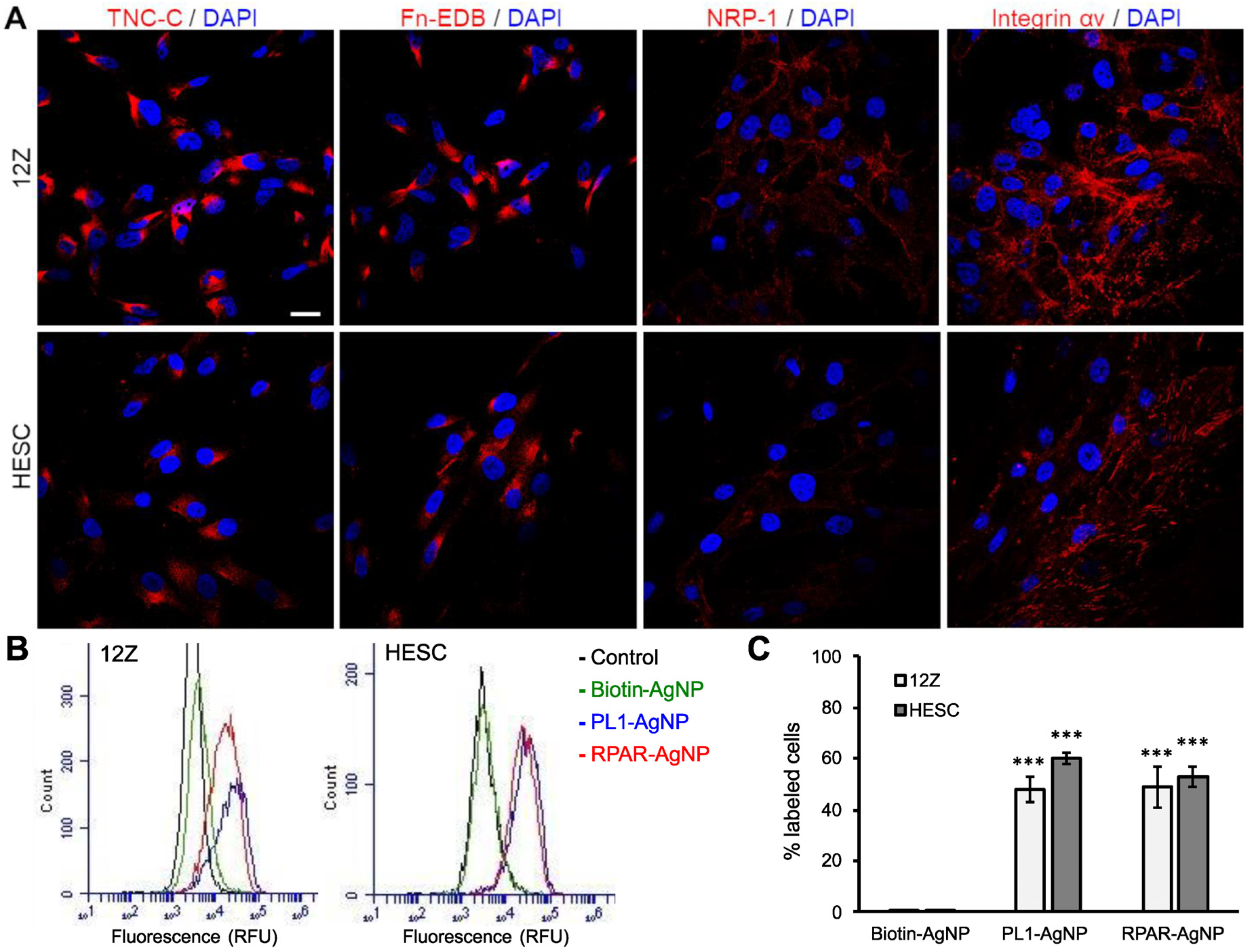 Nanomaterials 11 03257 g002 Nanomaterials 11 03257 g002