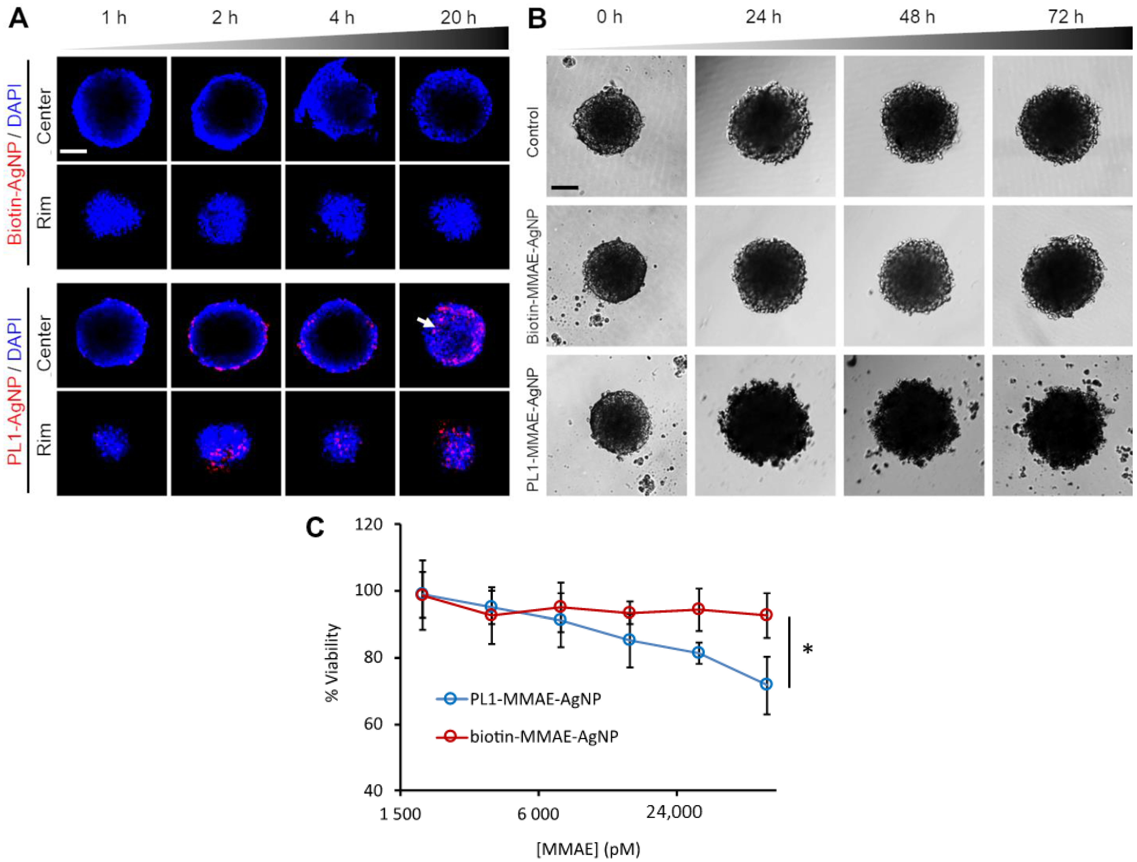 Nanomaterials 11 03257 g004 Nanomaterials 11 03257 g004