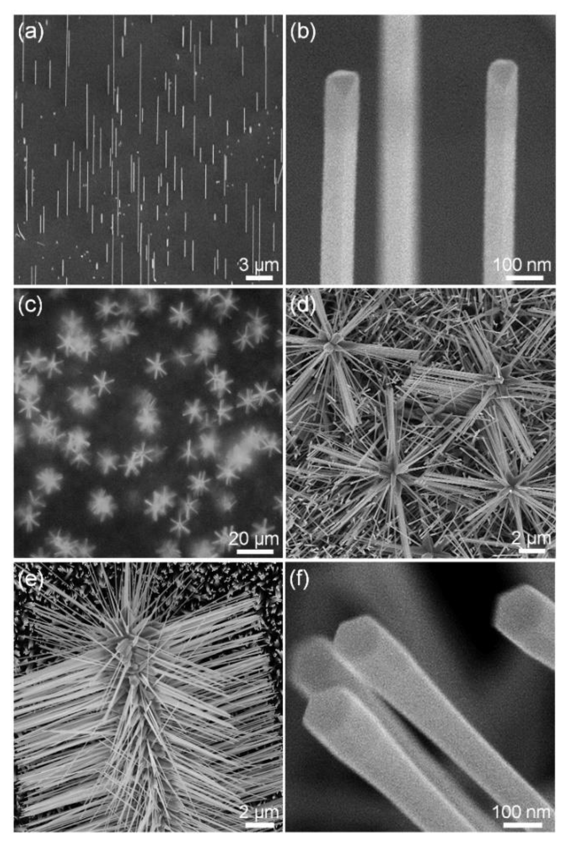Nanomaterials 11 03262 g001